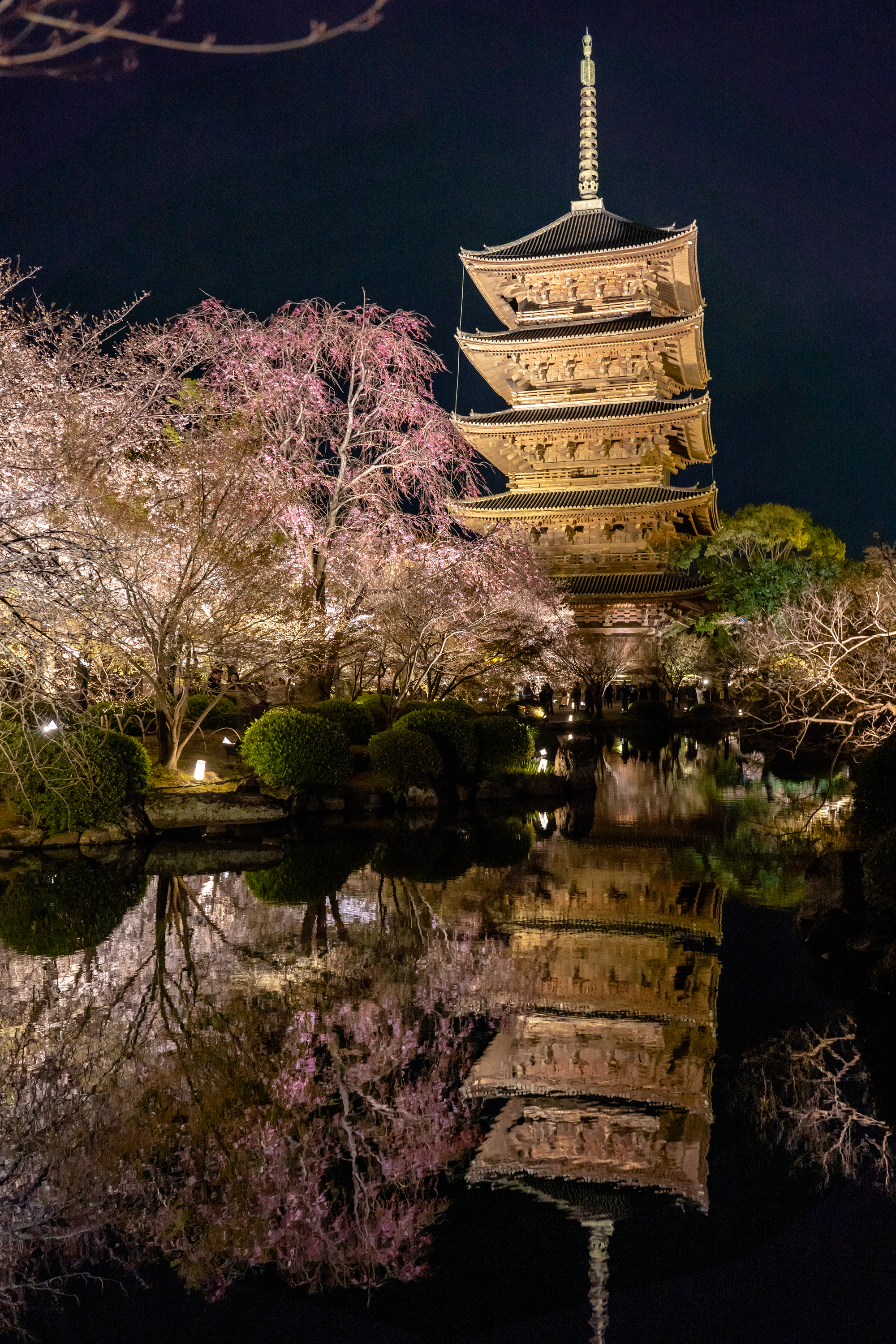 SONY_ILCE-7M3_3279120178-3279168911_2172 京都府 東寺(水面に映る五重塔と桜の美しい景色！ 京都の春におすすめ桜写真スポット！ 撮影した写真の紹介、アクセス情報など)