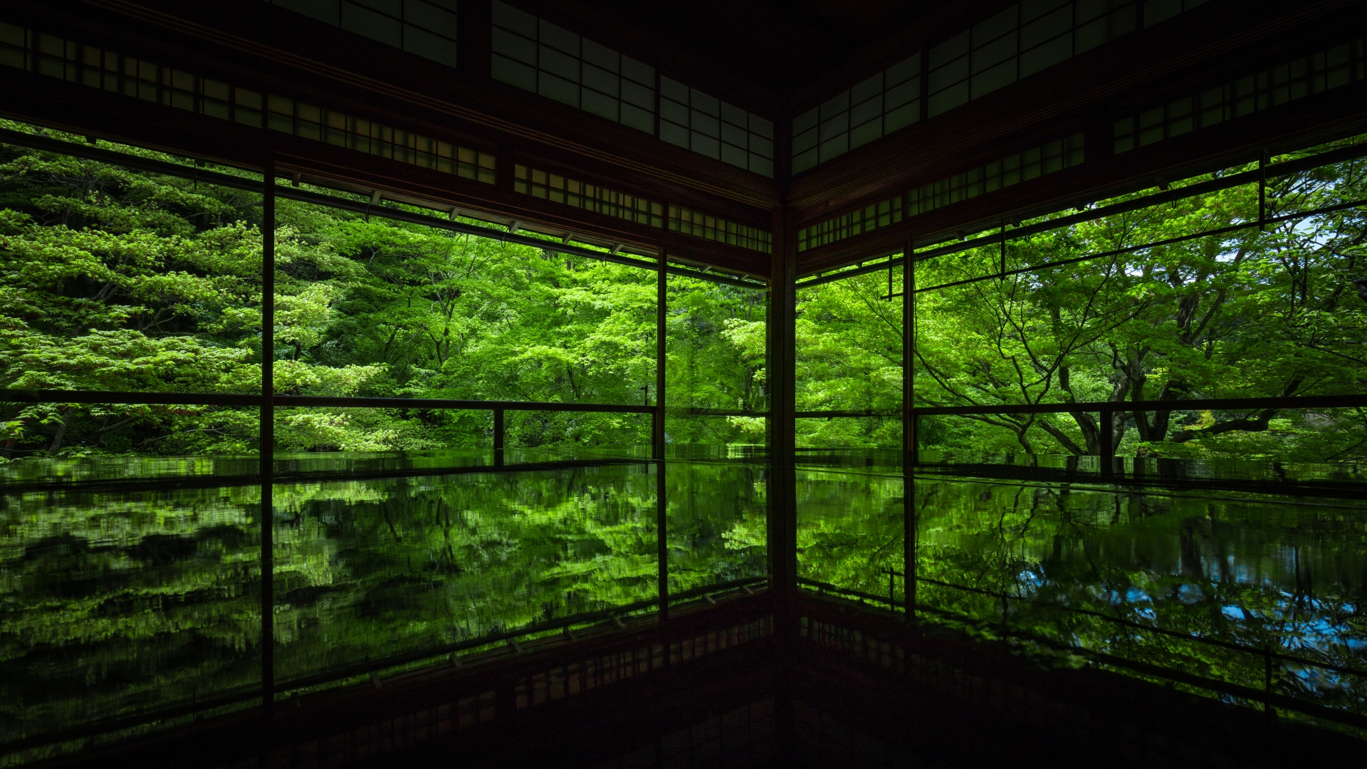 3926122_m 京都  瑠璃光院(京都の夏、新緑の時期におすすめのスポット!写真の紹介、アクセス情報など)　