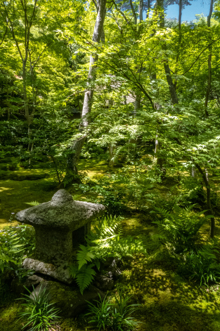 京都府 祇王寺 (新緑に染まる青もみじと床一面の苔の美しい景色!京都の初夏、梅雨の時期におすすめの写真スポット! 撮影した写真の紹介、アクセス ...