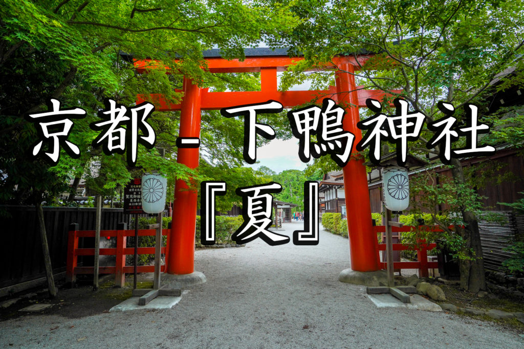 京都 下鴨神社 京都の夏 新緑の時期におすすめのスポット 写真の紹介 アクセス情報など 写真や映像で紹介する関西 近畿の絶景カメラ 観光スポット