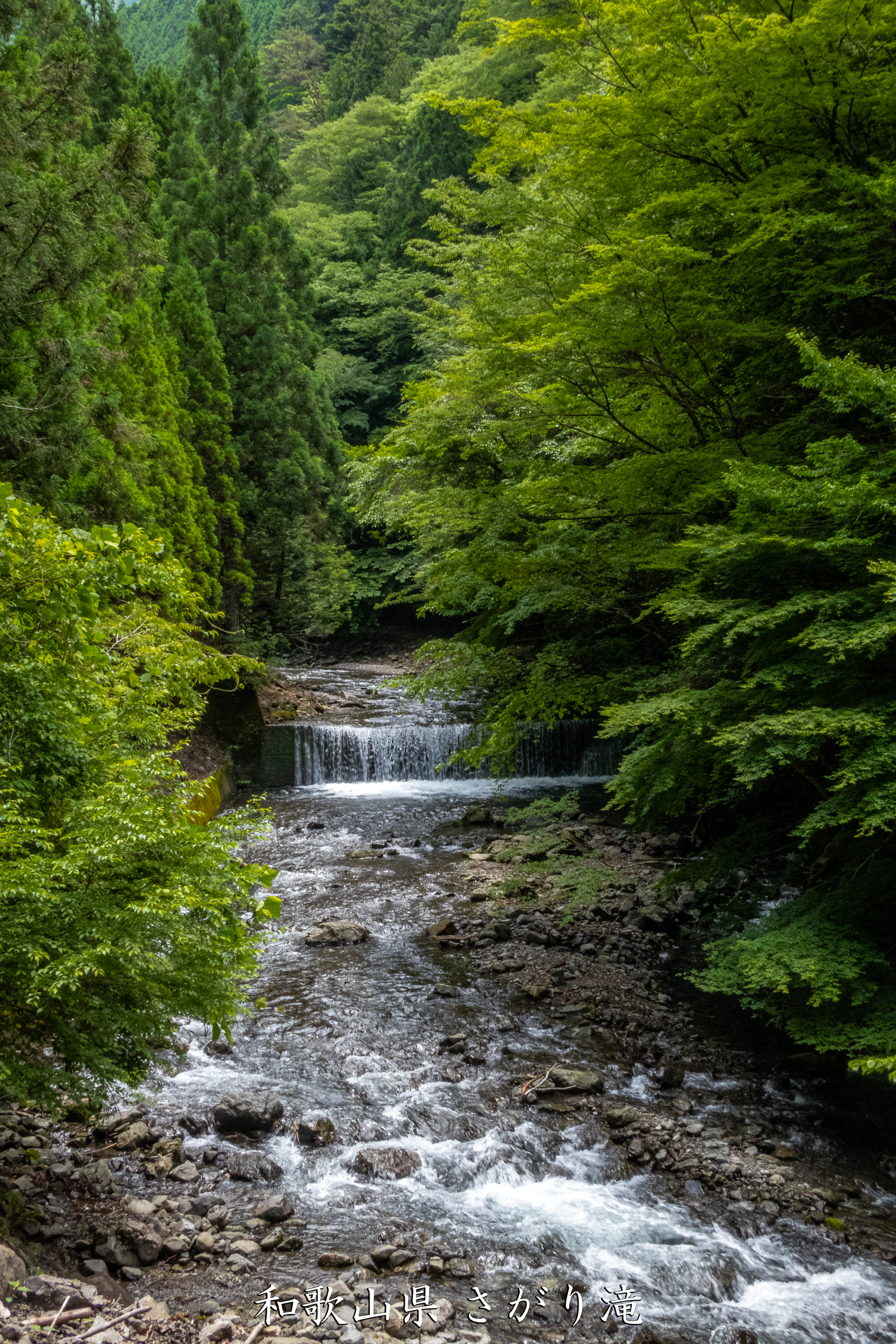 P1000751 和歌山県 さがり滝 (新緑の景色が美しい湯川渓谷の滝！夏、新緑の時期におすすめの写真スポット！ 撮影した写真の紹介、アクセス方法など)