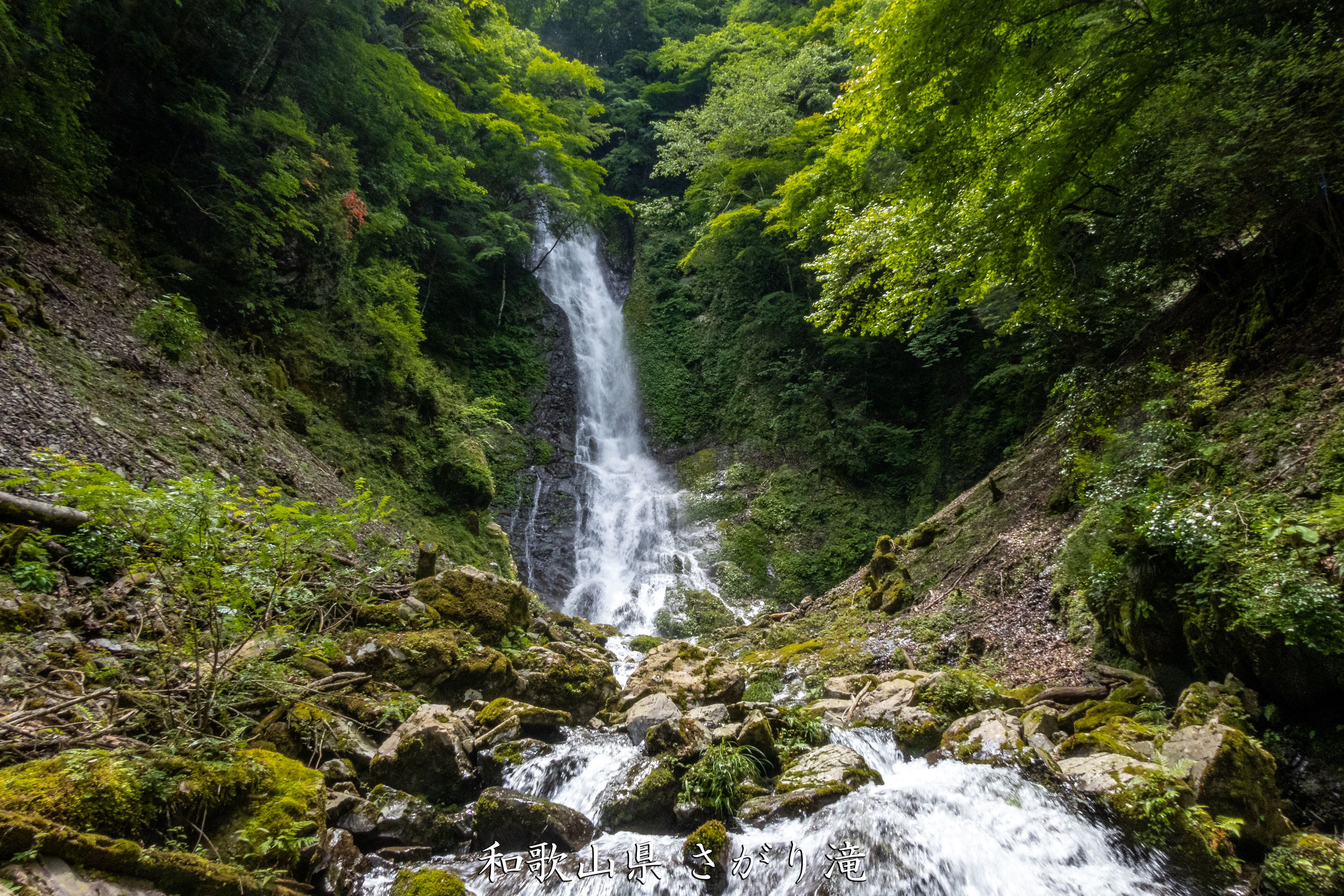 P1000790 和歌山県 さがり滝 (新緑の景色が美しい湯川渓谷の滝！夏、新緑の時期におすすめの写真スポット！ 撮影した写真の紹介、アクセス方法など)