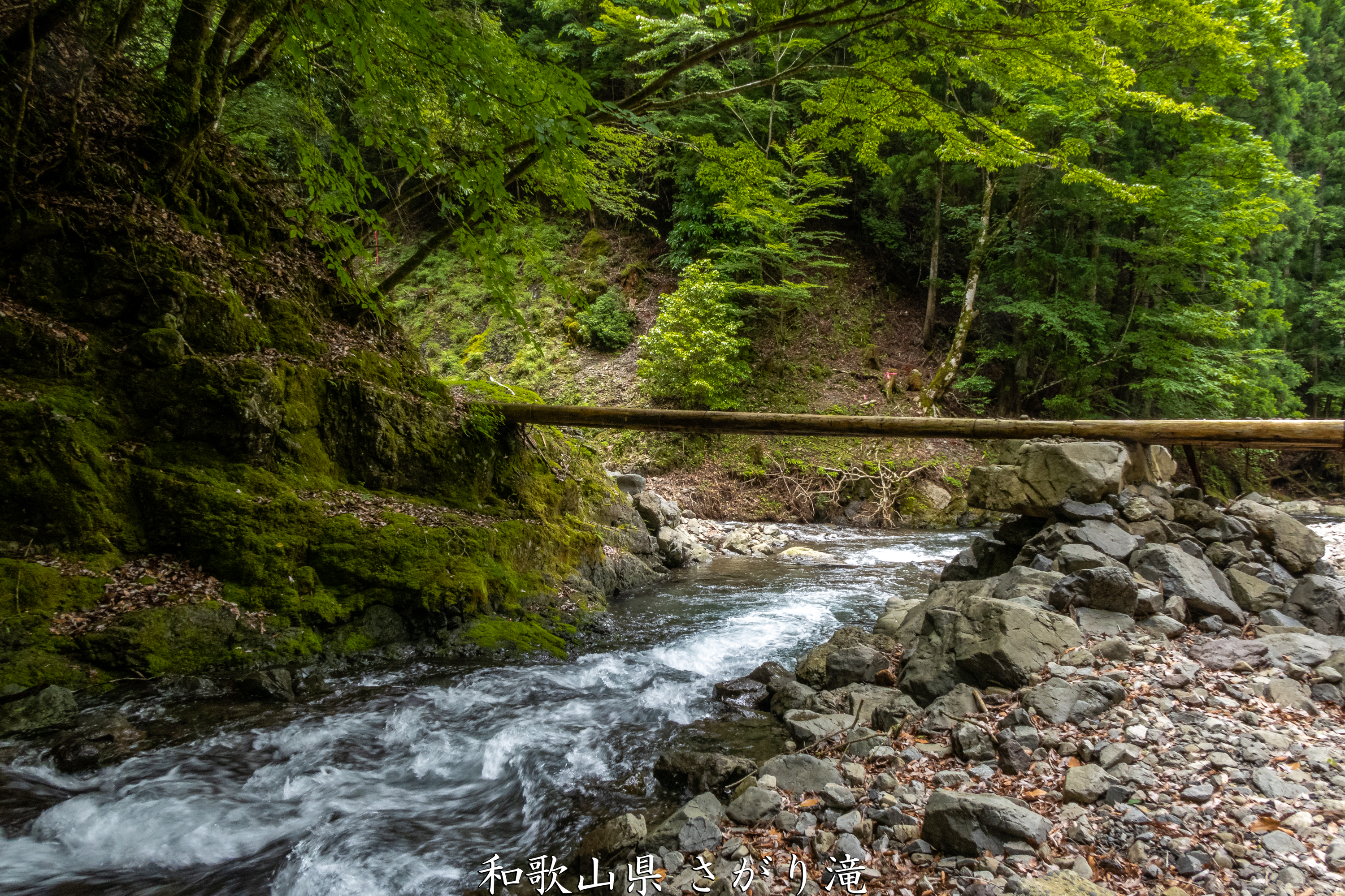 P1000805 和歌山県 さがり滝 (新緑の景色が美しい湯川渓谷の滝！夏、新緑の時期におすすめの写真スポット！ 撮影した写真の紹介、アクセス方法など)