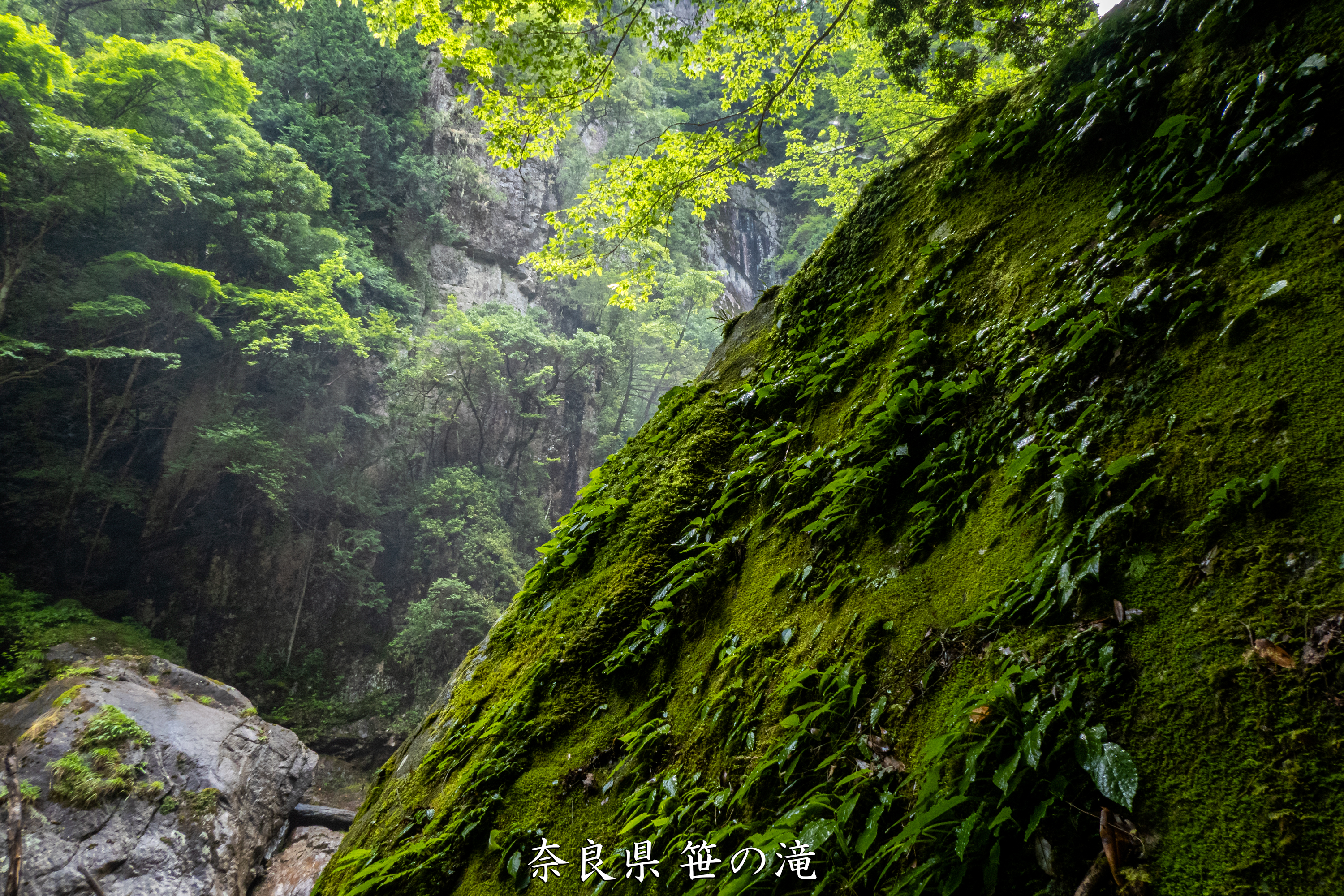 P1001034 奈良県 笹の滝 (十津川村の奥にある秘境の滝! 奈良の夏におすすめ写真撮影スポット！ 写真の紹介、アクセス情報など)