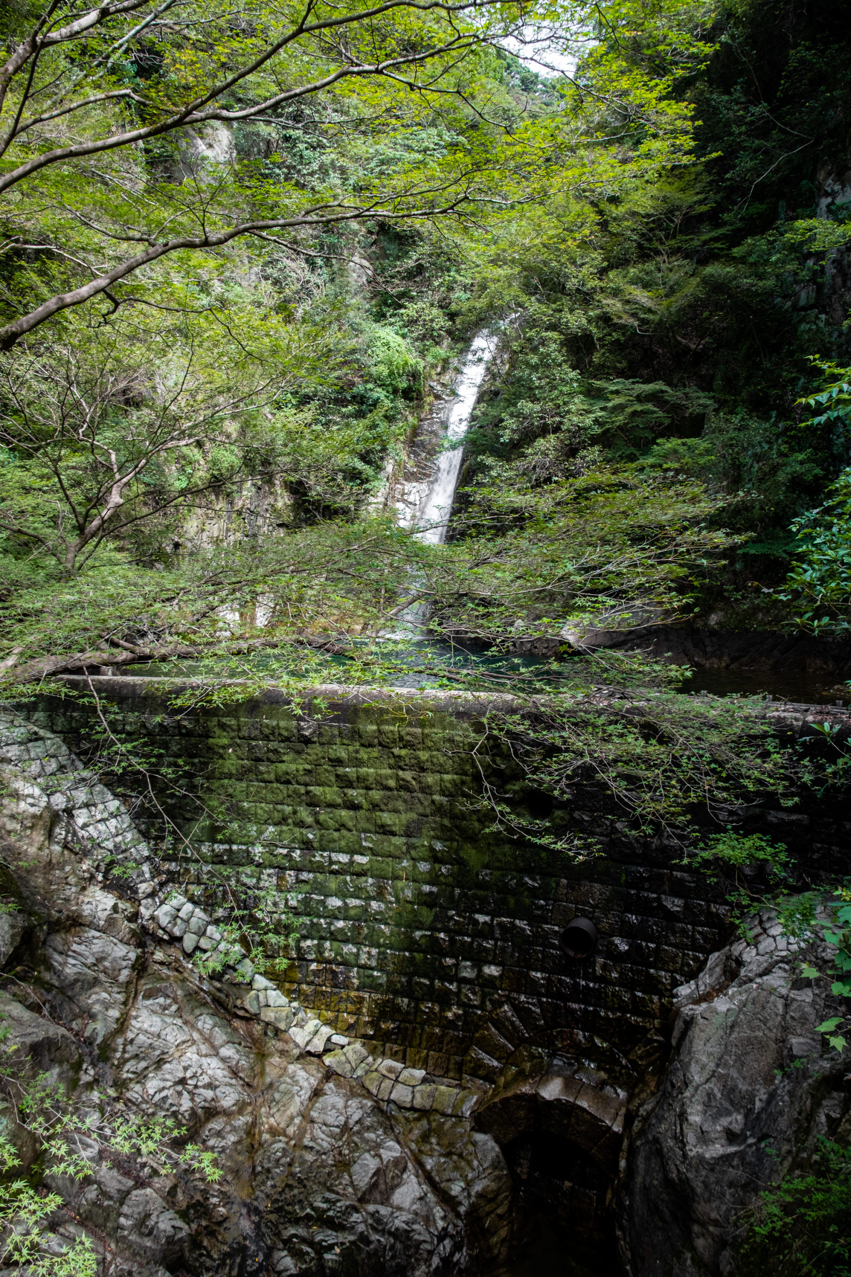 DSCF7119-scaled 兵庫県 布引の滝(新神戸駅から手軽にアクセスできる日本の滝百選の滝スポット！ 撮影した写真の紹介、滝までのアクセス情報など)
