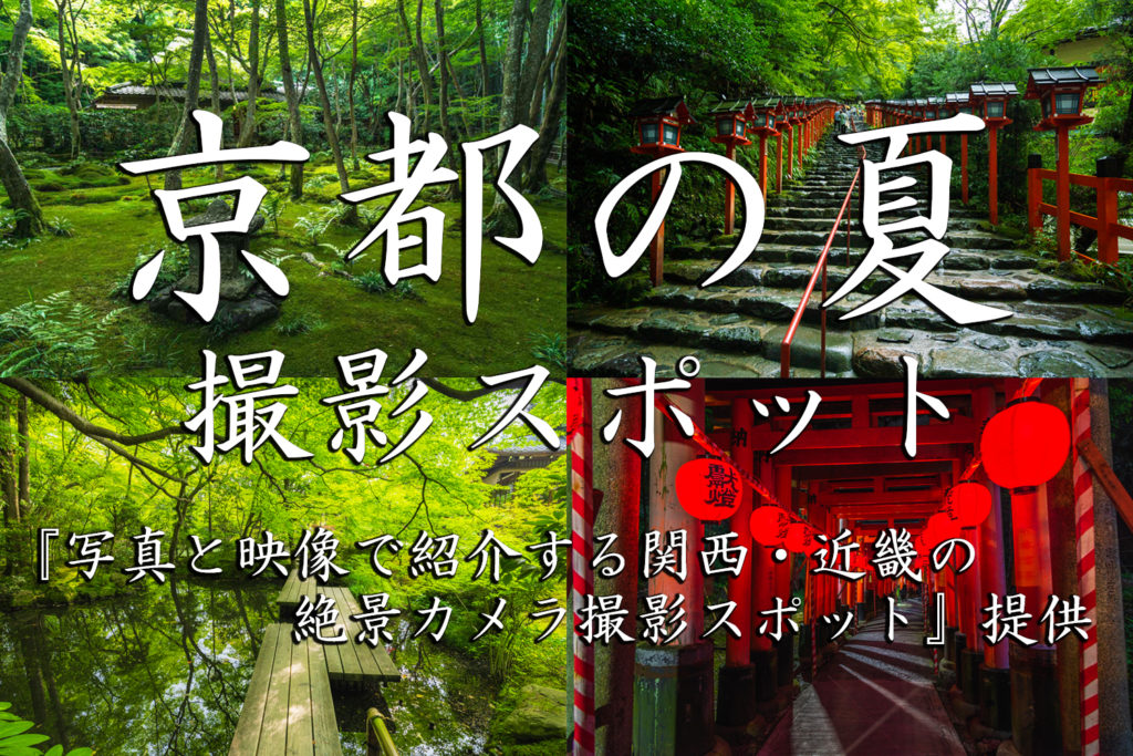京都 夏の撮影スポット19選 新緑の庭園やあじさい 海の景色など京都の夏の景色が満載 旅行や観光スポット探しにおすすめ 写真や映像で紹介する関西 近畿の絶景カメラ 観光スポット
