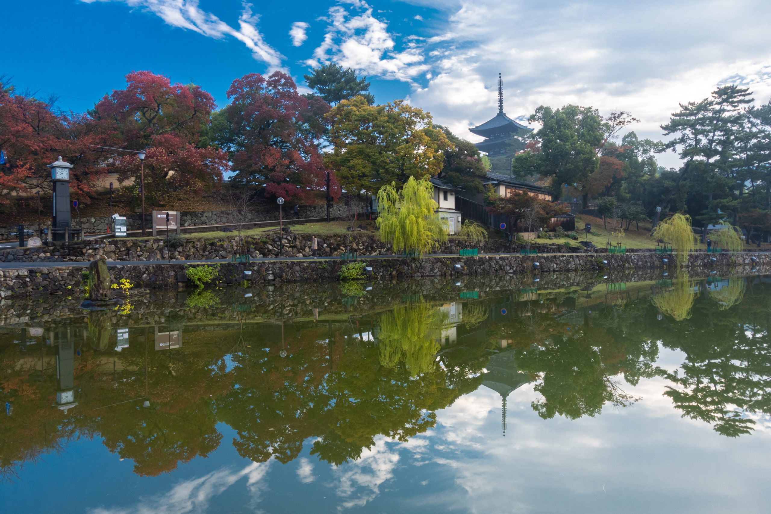 DSC00194-scaled 奈良県  奈良公園(鹿と紅葉や朝霧の幻想的な景色が見れる秋におすすめのスポット! 撮影した写真の紹介、アクセス情報や駐車場情報など)　