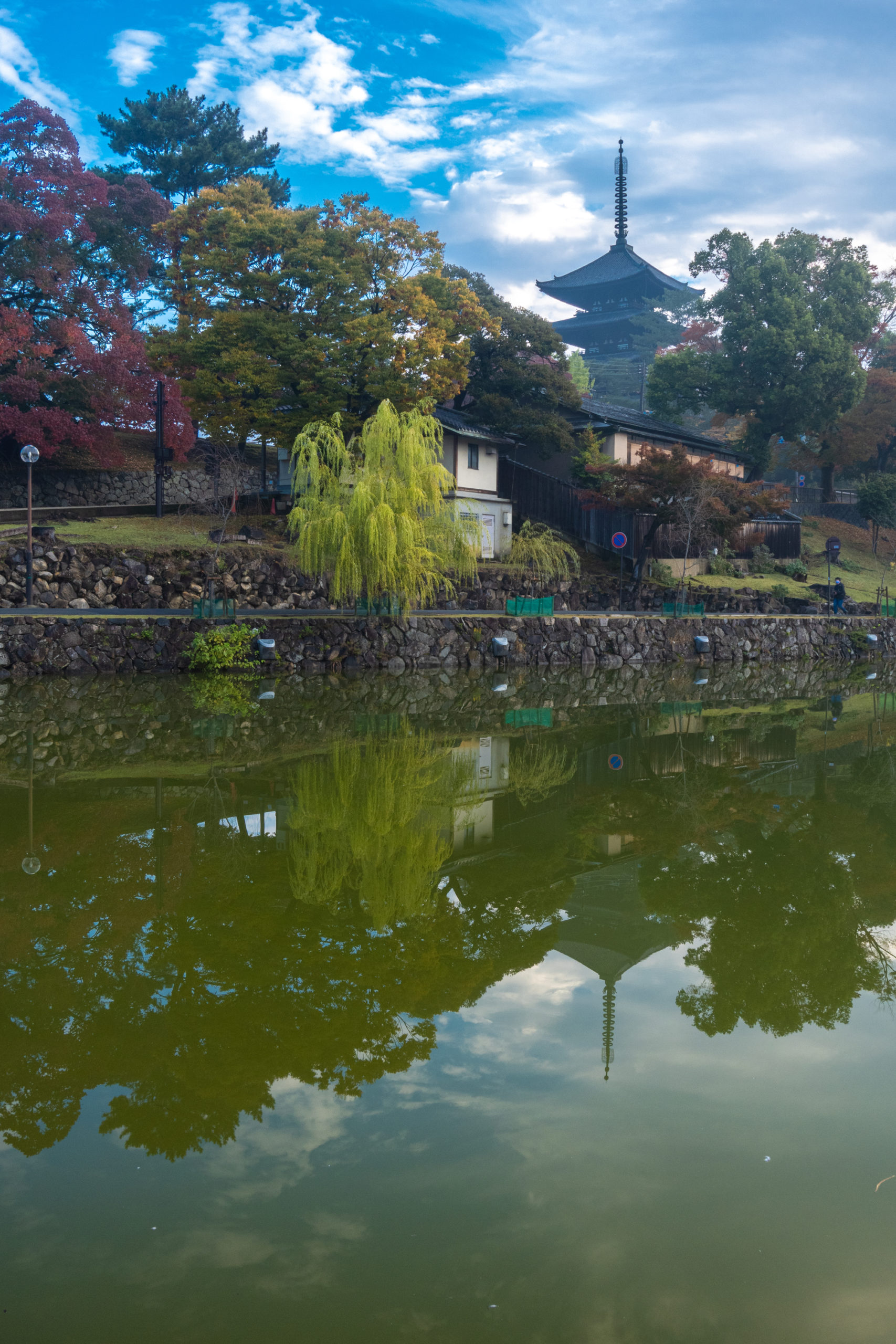 DSC00197-scaled 奈良県  奈良公園(鹿と紅葉や朝霧の幻想的な景色が見れる秋におすすめのスポット! 撮影した写真の紹介、アクセス情報や駐車場情報など)　