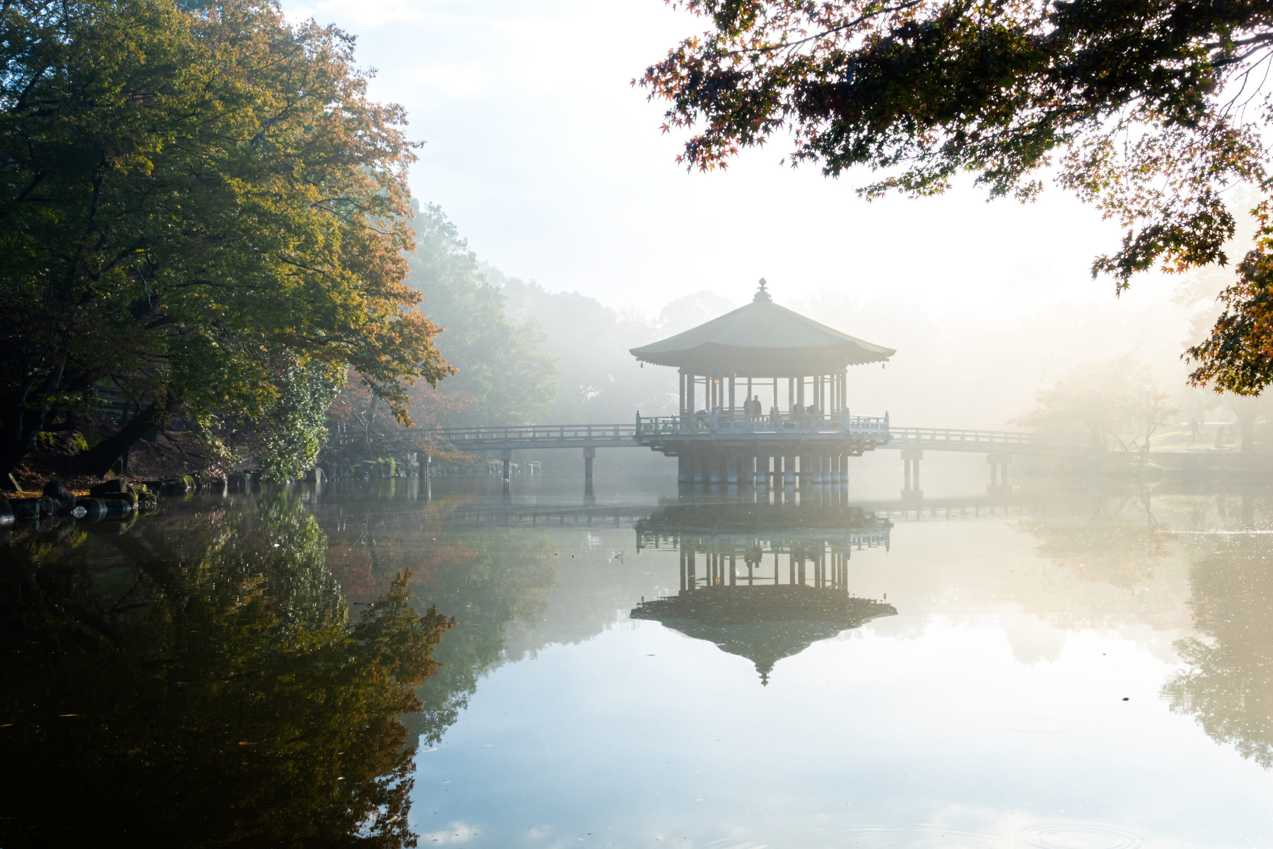 DSC00226-scaled 奈良県  奈良公園(鹿と紅葉や朝霧の幻想的な景色が見れる秋におすすめのスポット! 撮影した写真の紹介、アクセス情報や駐車場情報など)　