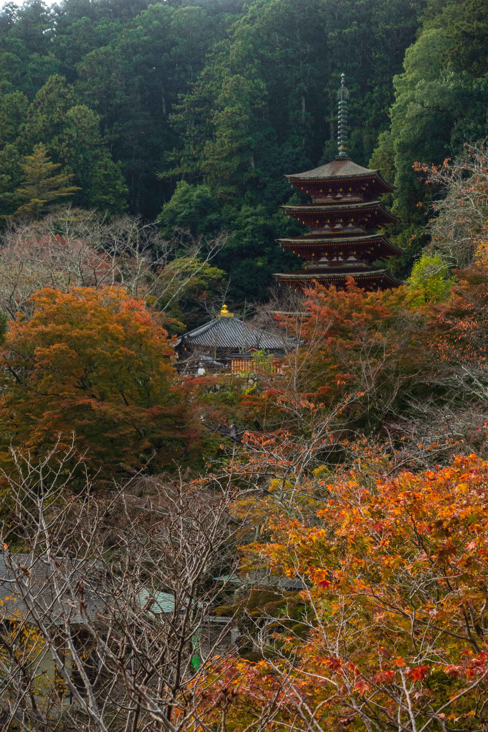 DSC00348-scaled 奈良県  長谷寺(風情を感じる五重塔と紅葉景色が美しい秋のおすすめスポット! 撮影した写真の紹介、アクセス情報や駐車場情報など)　