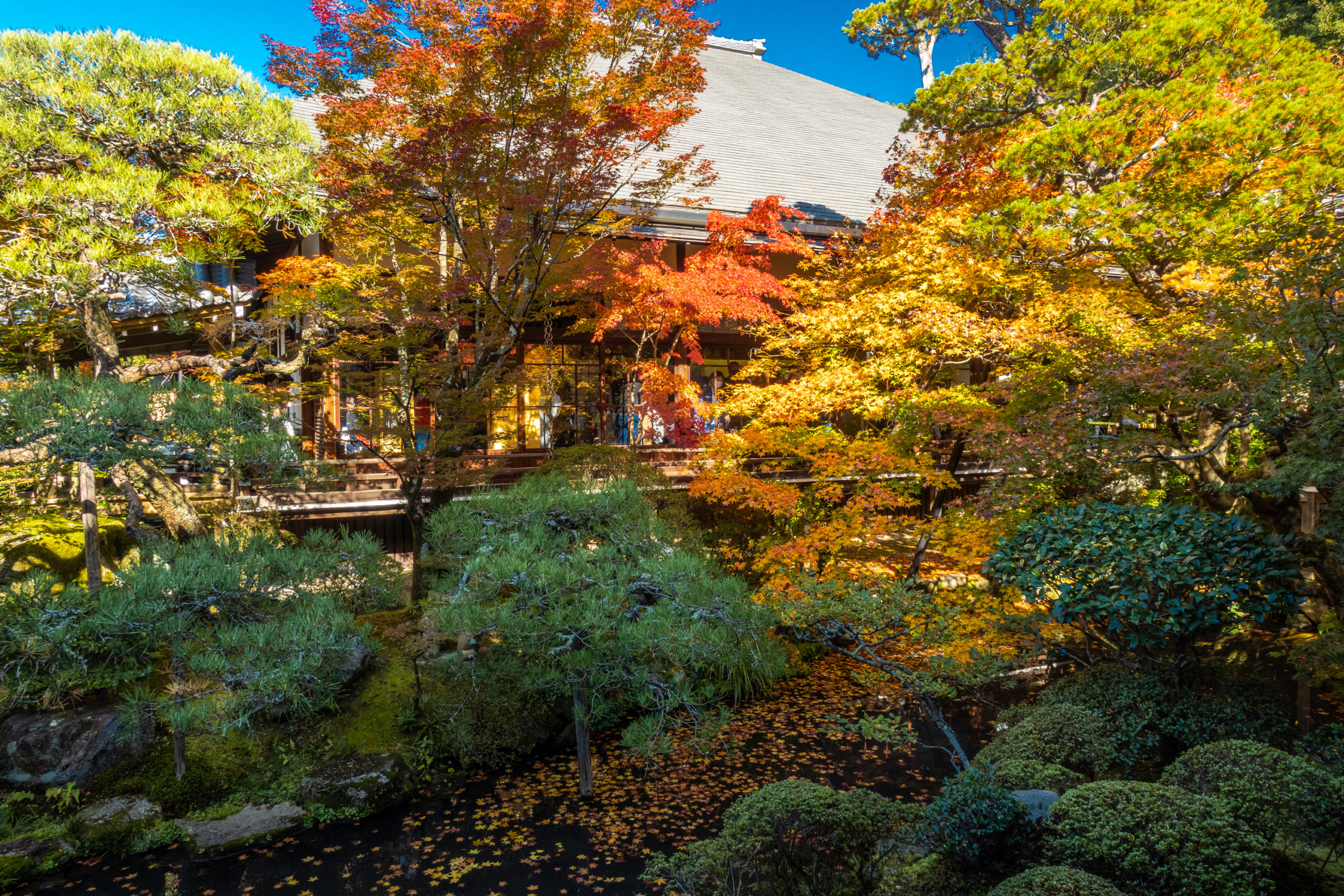 DSC00668-scaled 京都  永観堂-禅林寺(池に映る紅葉の風景が美しい秋におすすめのスポット!撮影した写真の紹介、アクセス情報・ライトアップ情報など)