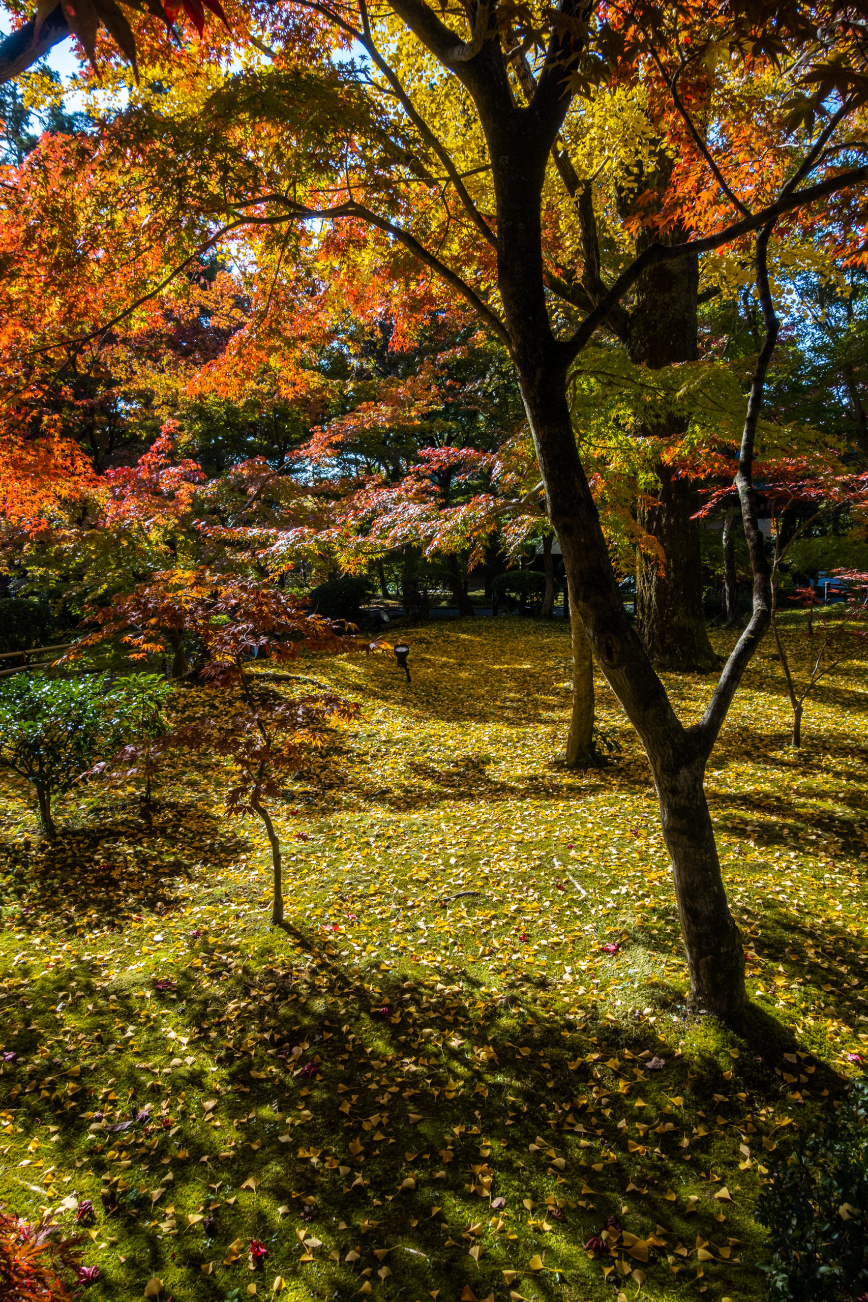 DSC00693-scaled 京都  永観堂-禅林寺(池に映る紅葉の風景が美しい秋におすすめのスポット!撮影した写真の紹介、アクセス情報・ライトアップ情報など)