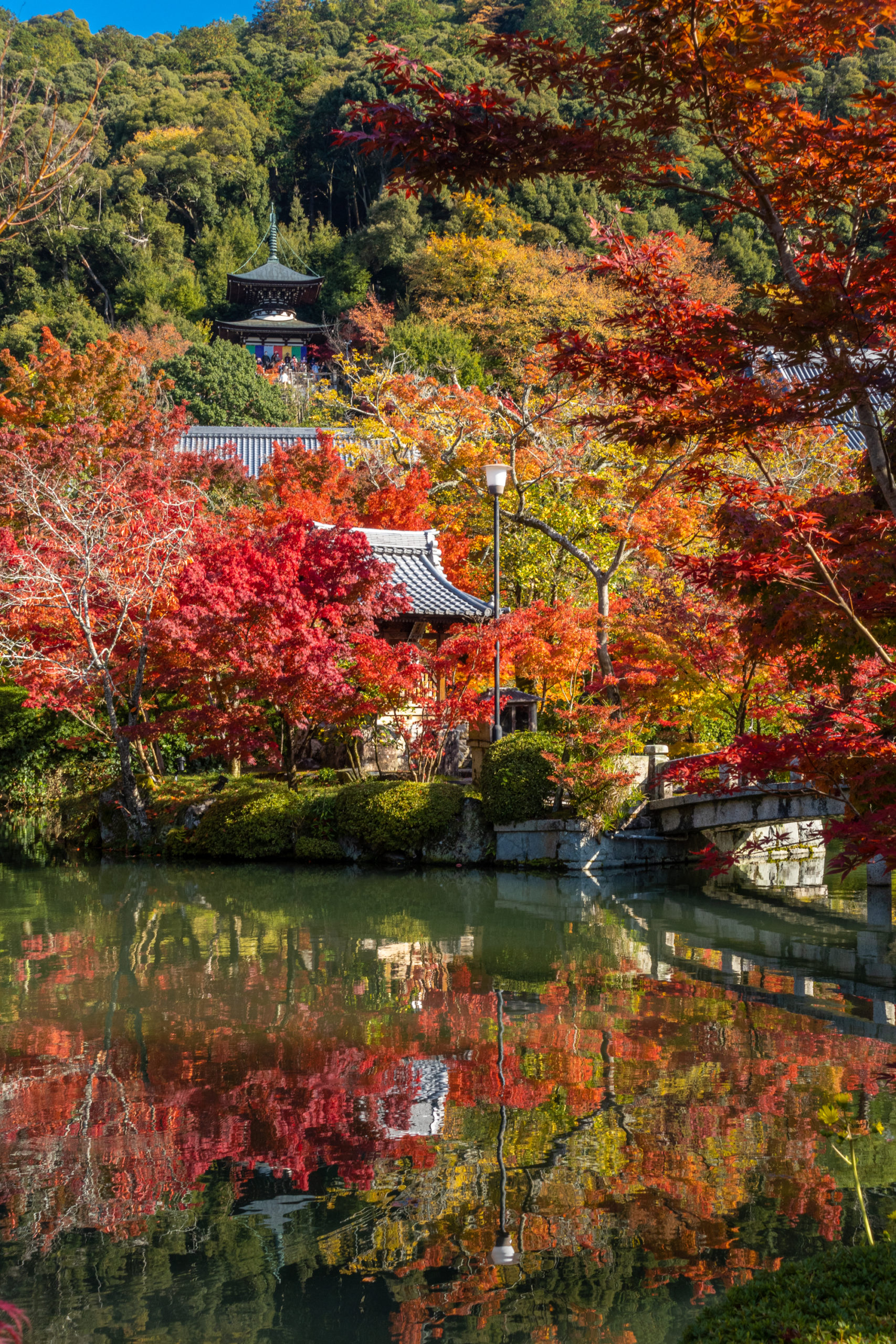 DSC00724-scaled 京都  永観堂-禅林寺(池に映る紅葉の風景が美しい秋におすすめのスポット!撮影した写真の紹介、アクセス情報・ライトアップ情報など)