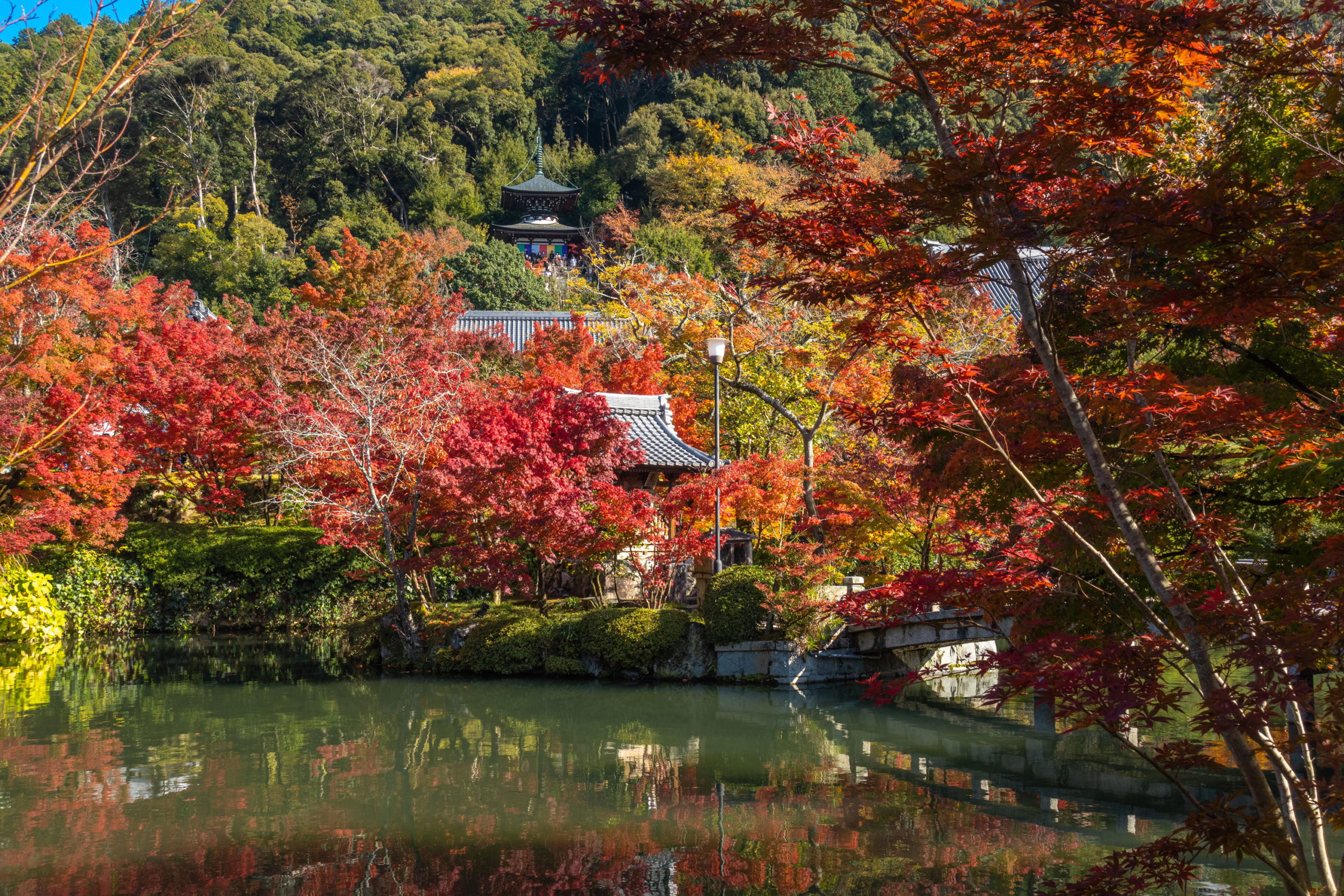 DSC00731-scaled 京都  永観堂-禅林寺(池に映る紅葉の風景が美しい秋におすすめのスポット!撮影した写真の紹介、アクセス情報・ライトアップ情報など)