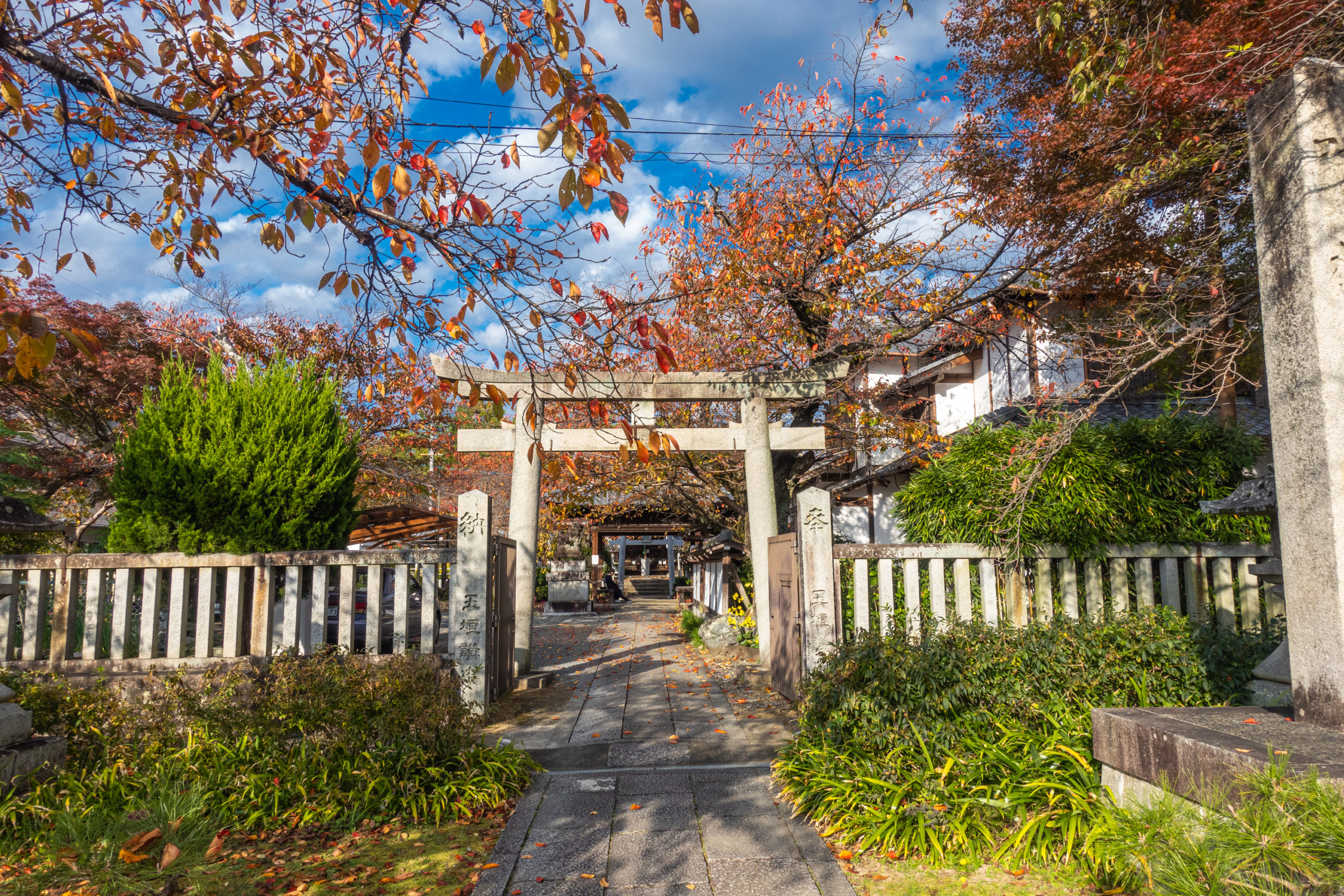 DSC00819-scaled 京都  真如堂(三重塔と紅葉の風情を感じる景色が美しい秋におすすめのスポット!撮影した写真の紹介、アクセス情報など)