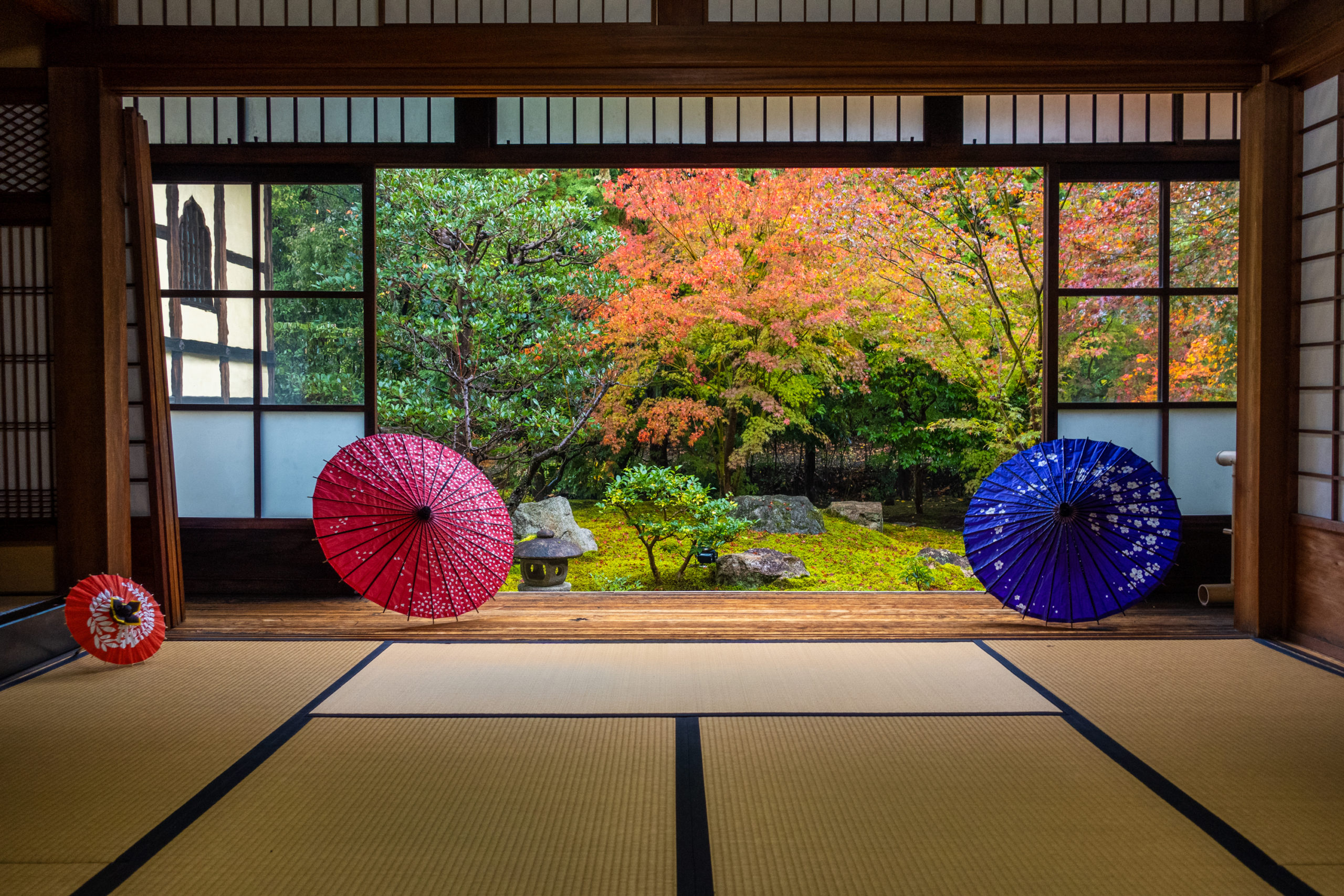 DSC00929-scaled 京都  勝林寺(紅葉と和傘の風情を感じる景色が美しい秋におすすめのスポット!撮影した写真の紹介、アクセス情報など)