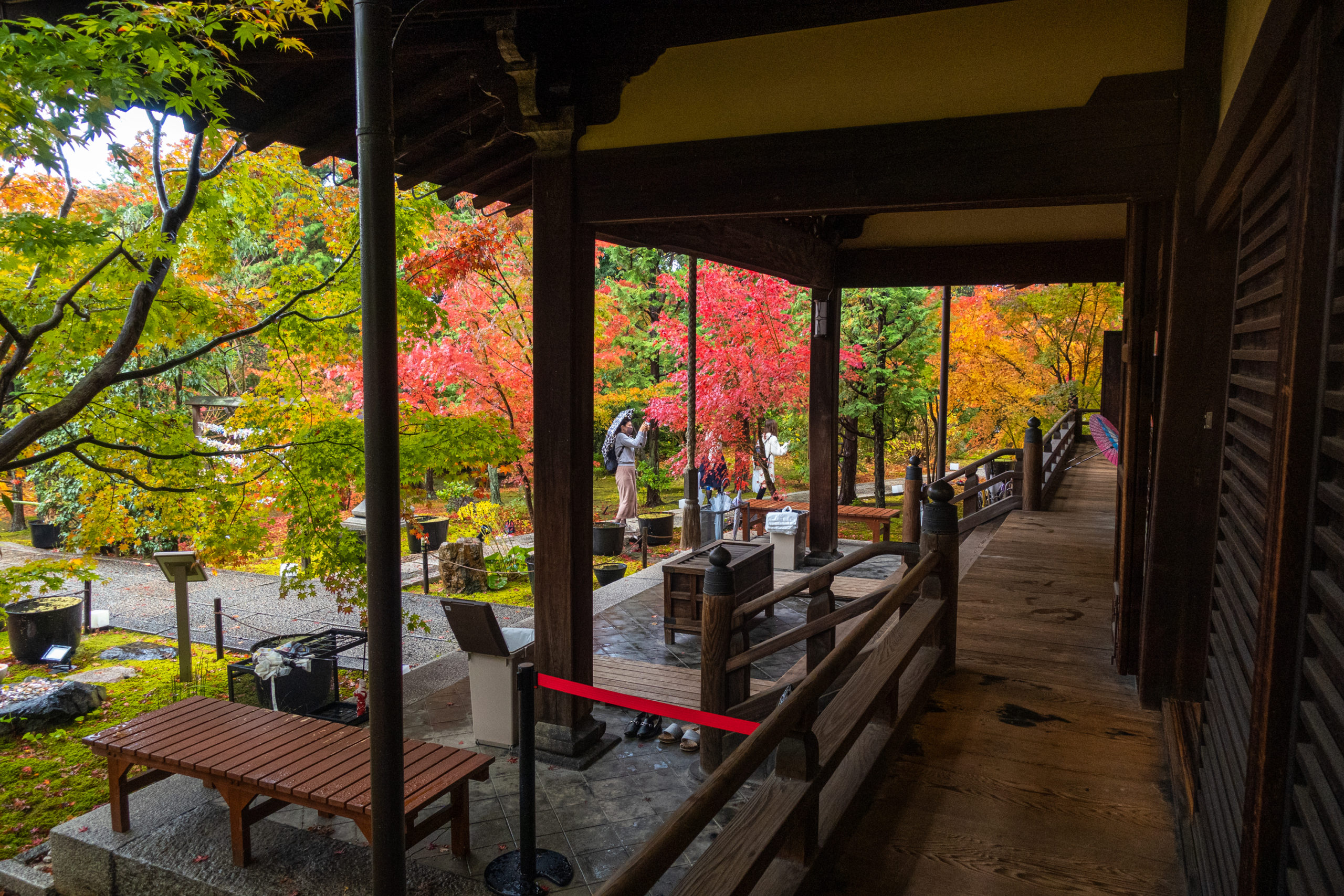 DSC00954-scaled 京都  勝林寺(紅葉と和傘の風情を感じる景色が美しい秋におすすめのスポット!撮影した写真の紹介、アクセス情報など)