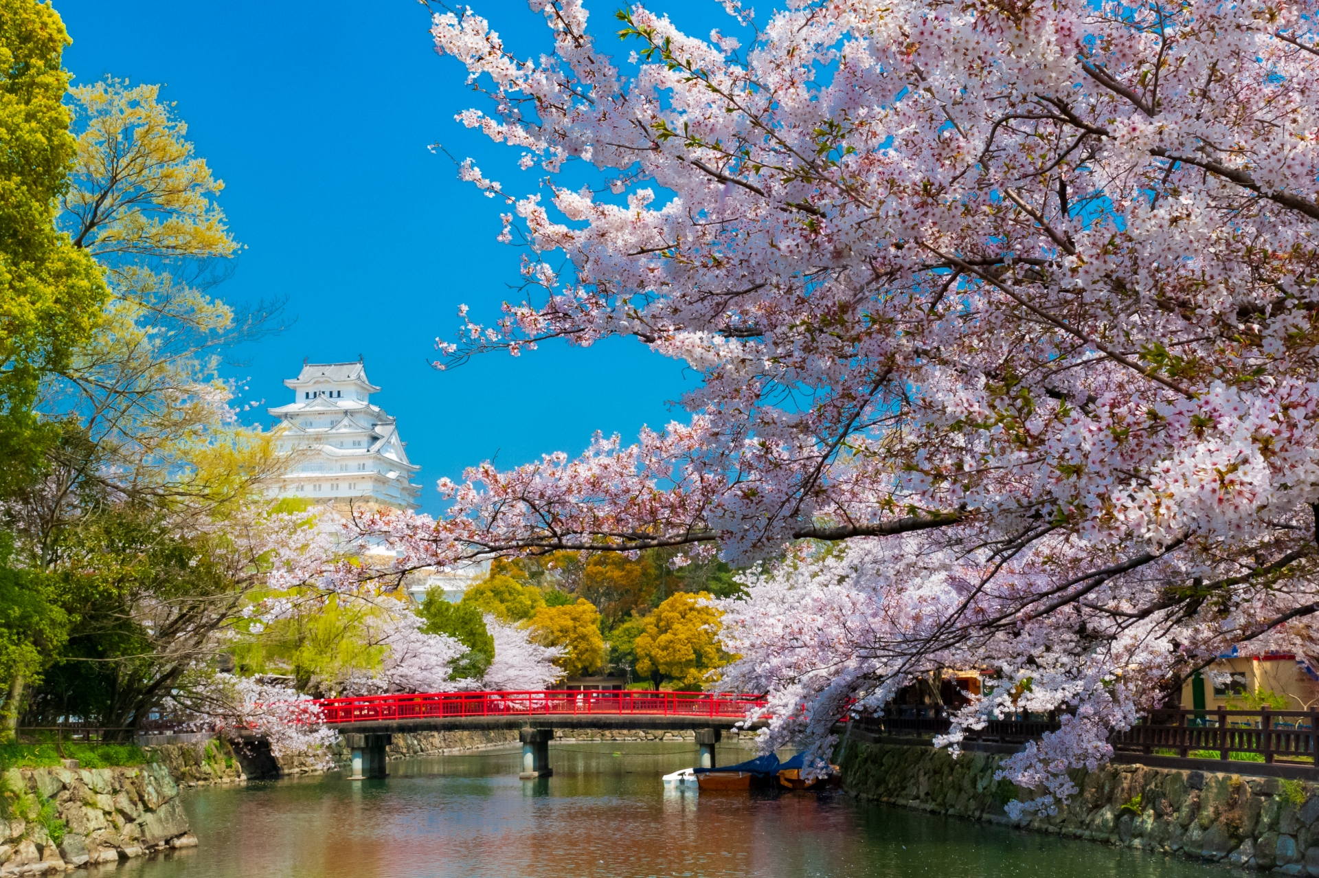 3572361_m 兵庫県  姫路城(桜と城の景色が美しい春におすすめのスポット! 写真の紹介、アクセス情報や駐車場情報など)　