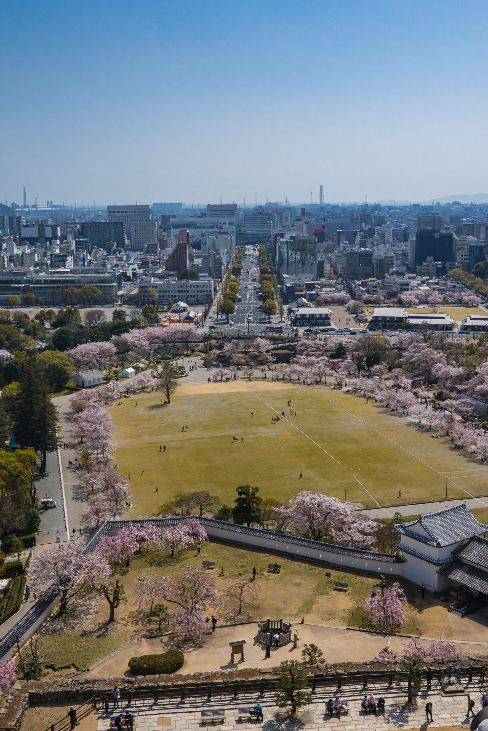 DSC09557-scaled 兵庫県  姫路城(桜と城の景色が美しい春におすすめのスポット! 写真の紹介、アクセス情報など)　
