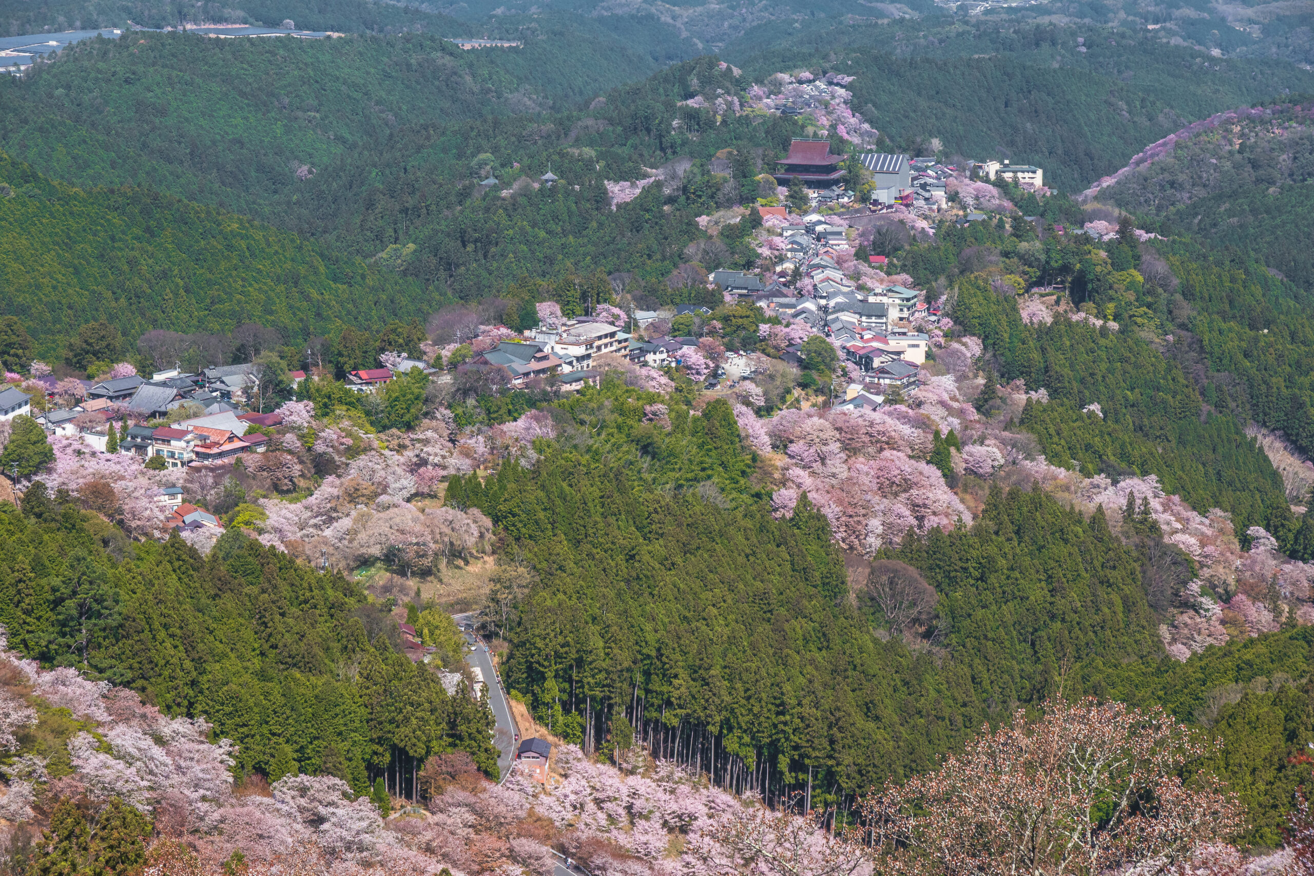 DSC09659-scaled 奈良県  吉野山(山一面が桜に染まる春におすすめの絶景スポット! 写真の紹介、アクセス情報など)　