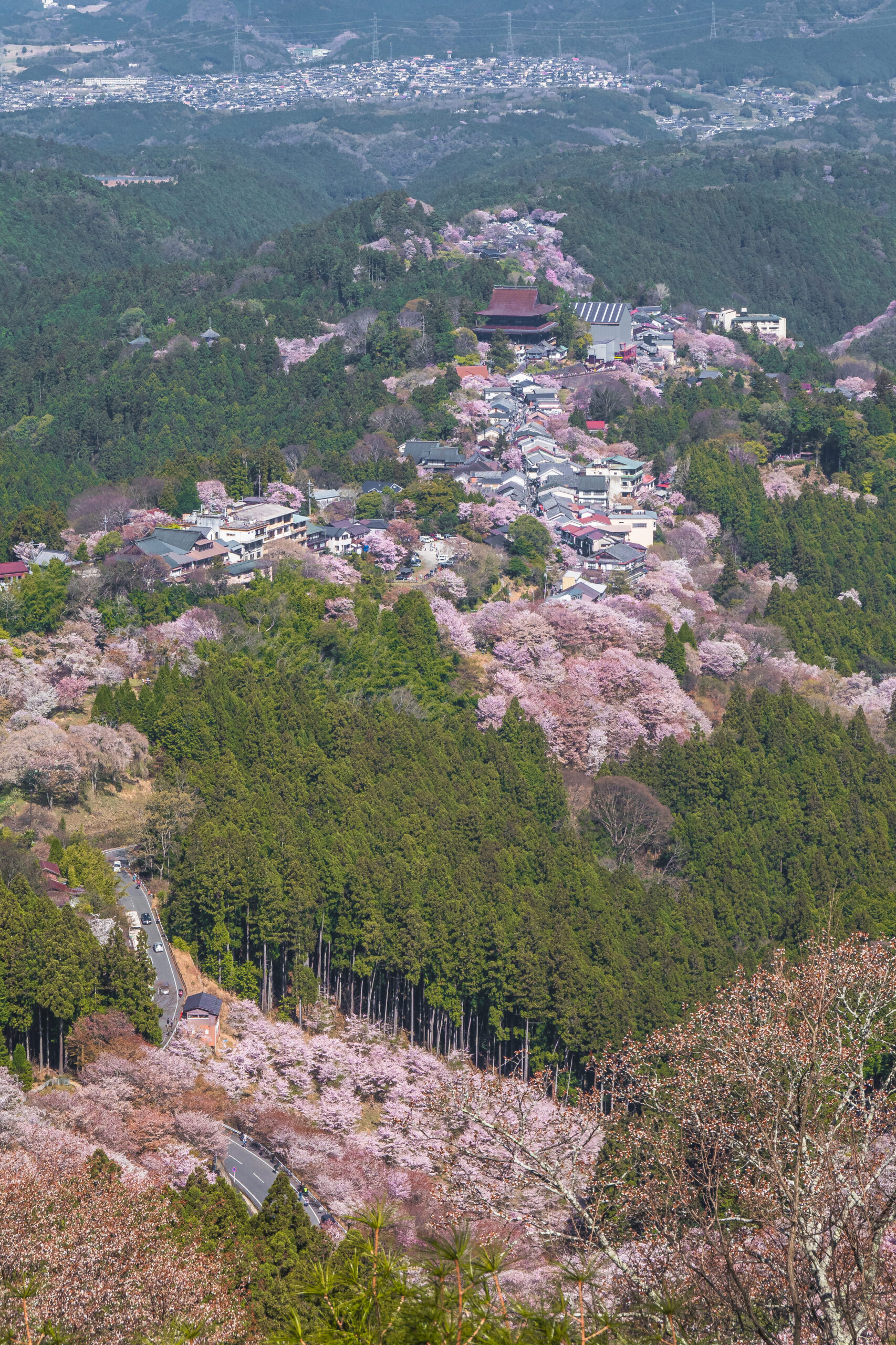 DSC09665-scaled 奈良県  吉野山(山一面が桜に染まる春におすすめの絶景スポット! 写真の紹介、アクセス情報など)　