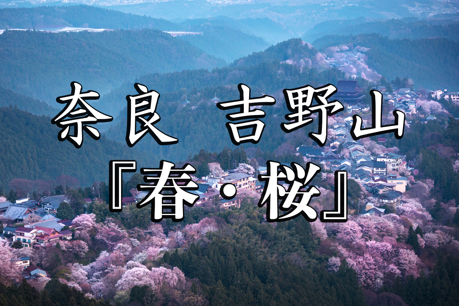 奈良県 吉野山 山が桜に染まる春におすすめの絶景スポット 写真の紹介 アクセス情報や駐車場情報など 写真や映像で紹介する関西 近畿の絶景カメラ 観光スポット