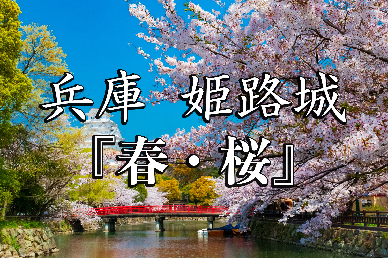 兵庫県 姫路城 桜と城の景色が美しい春におすすめのスポット 写真の紹介 アクセス情報や駐車場情報など 写真や映像で紹介する関西 近畿の絶景 カメラ 観光スポット