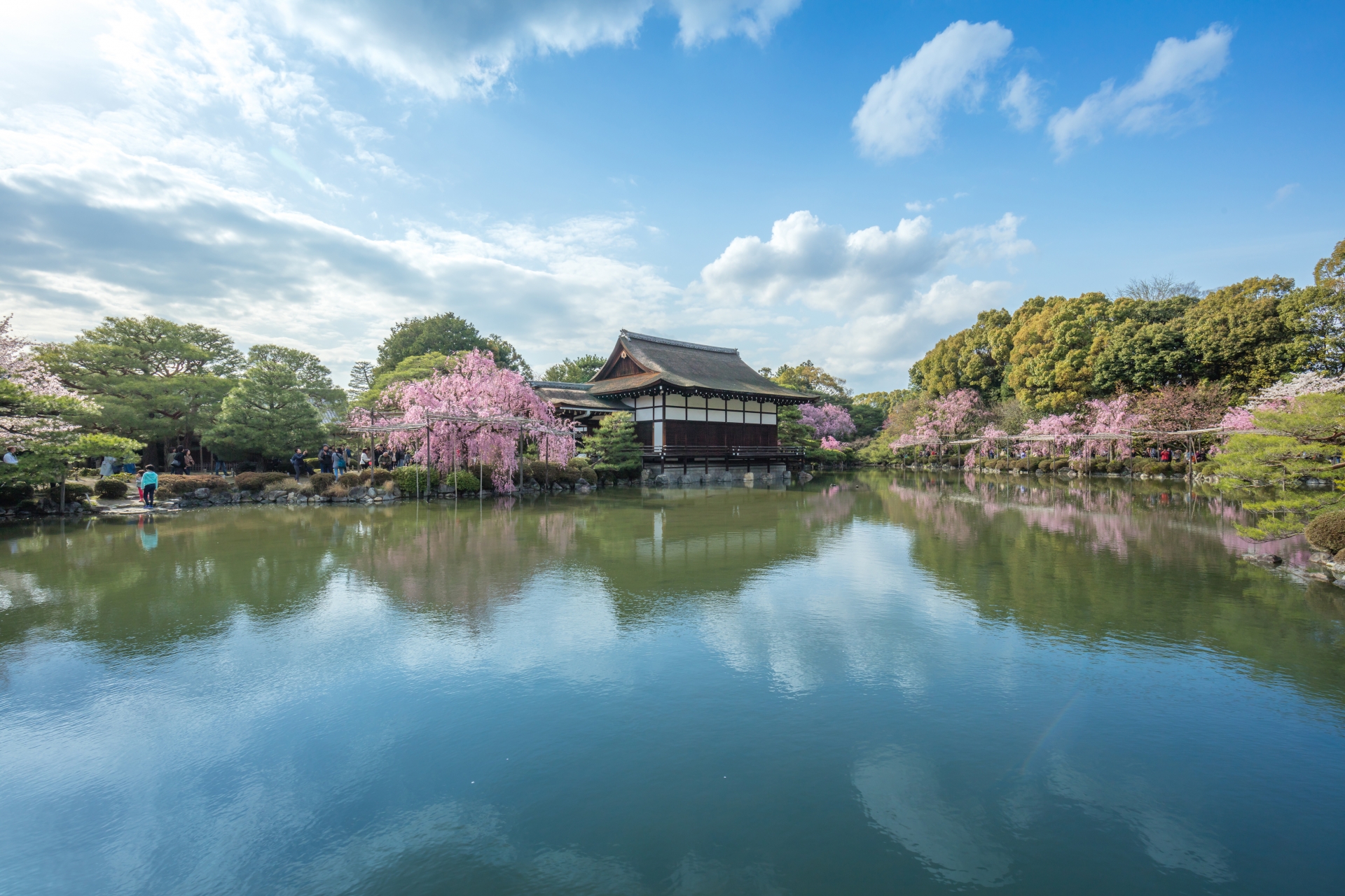 3963405_m 京都府 平安神宮(水面に映る桜の景色が美しい春におすすめ桜写真スポット! 撮影した写真の紹介、アクセス情報など)