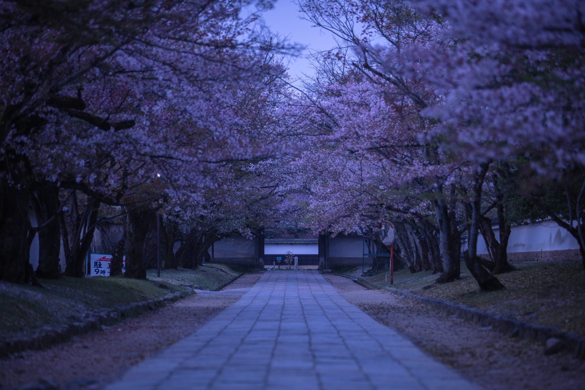 4021038_m 京都府 醍醐寺(花の醍醐と呼ばれる桜の景色が美しい春におすすめ写真スポット! 撮影した写真の紹介、アクセス情報など)