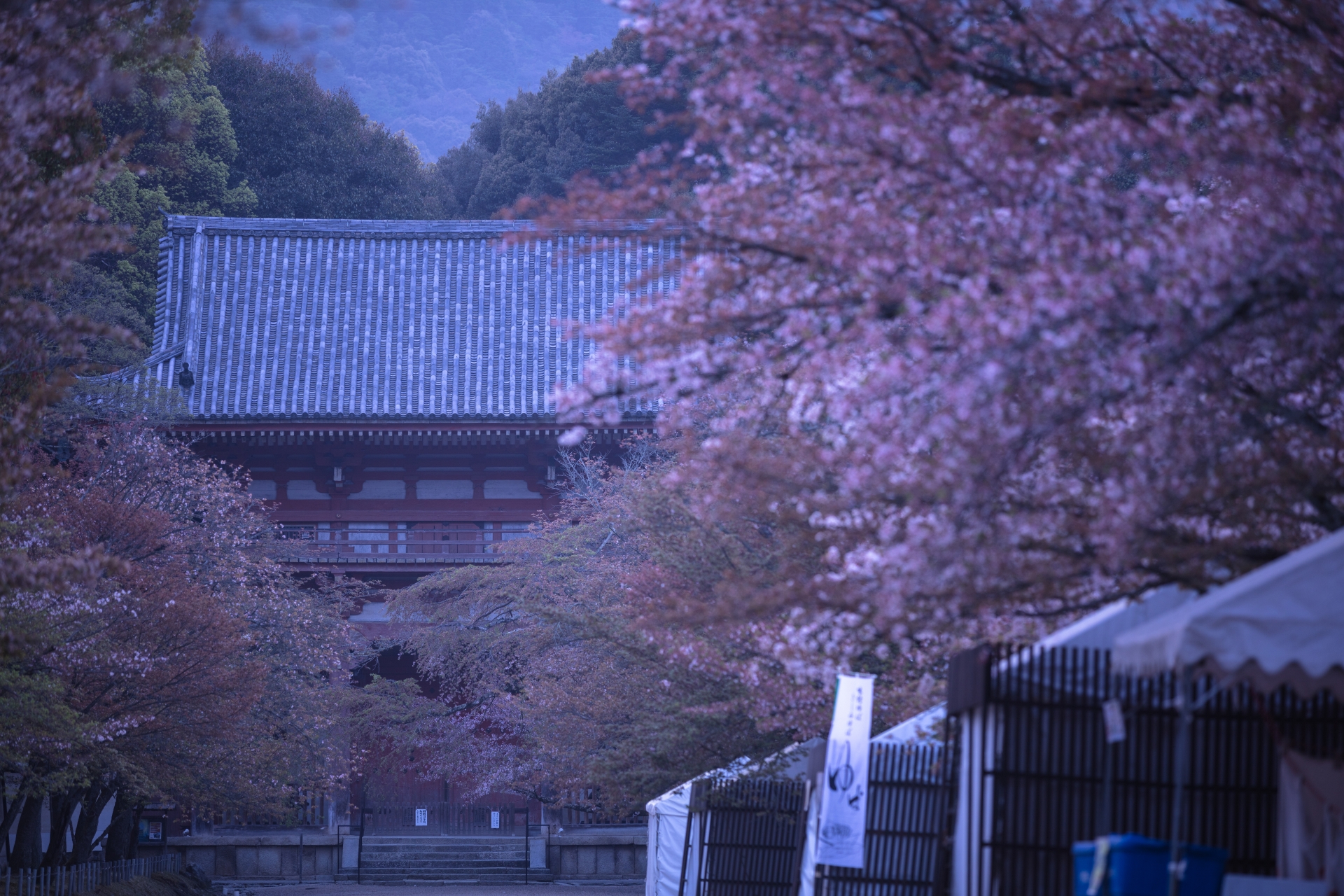 4021042_m 京都府 醍醐寺(花の醍醐と呼ばれる桜の景色が美しい春におすすめ写真スポット! 撮影した写真の紹介、アクセス情報など)