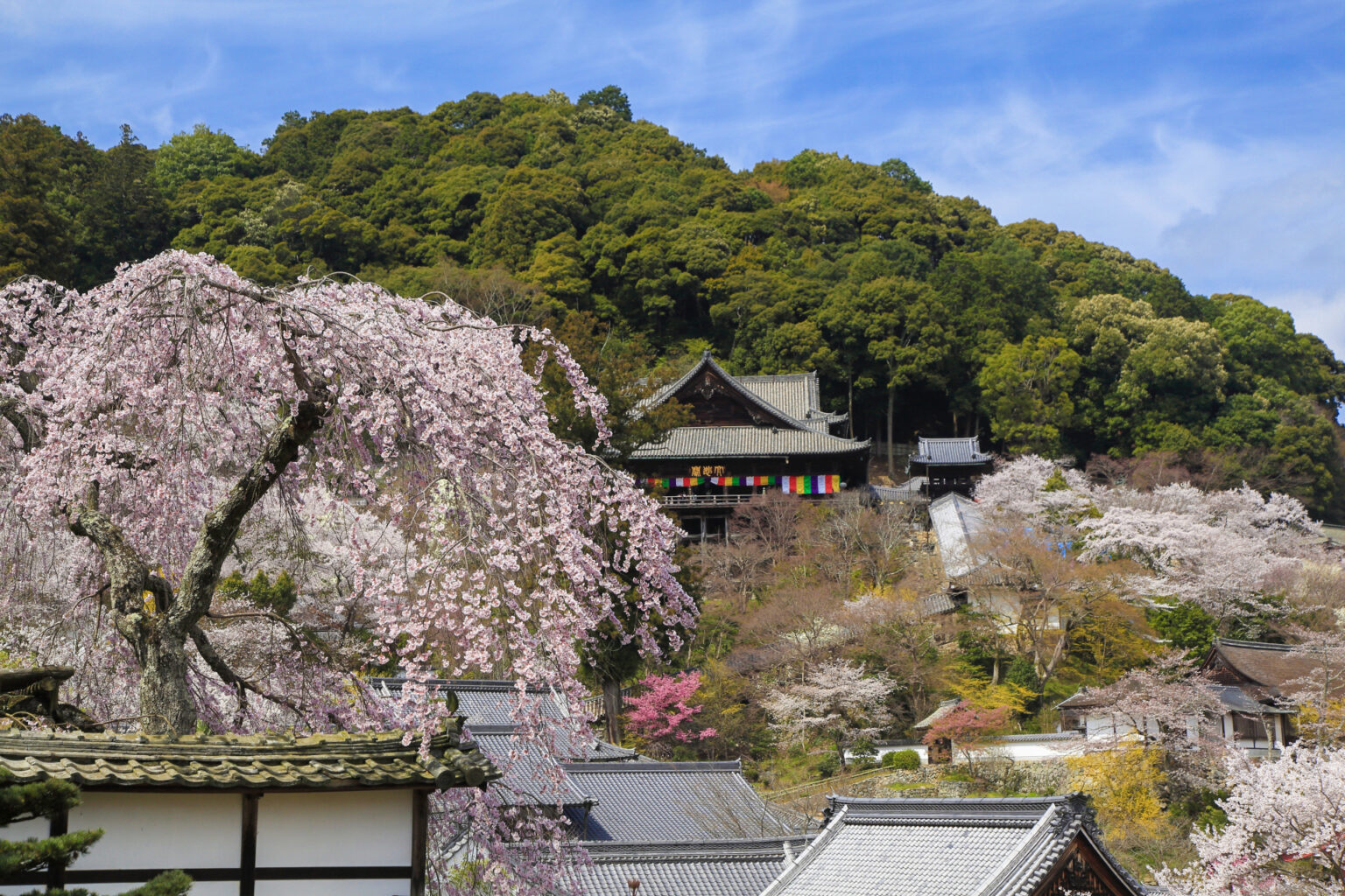 奈良 春の 特別 拝観