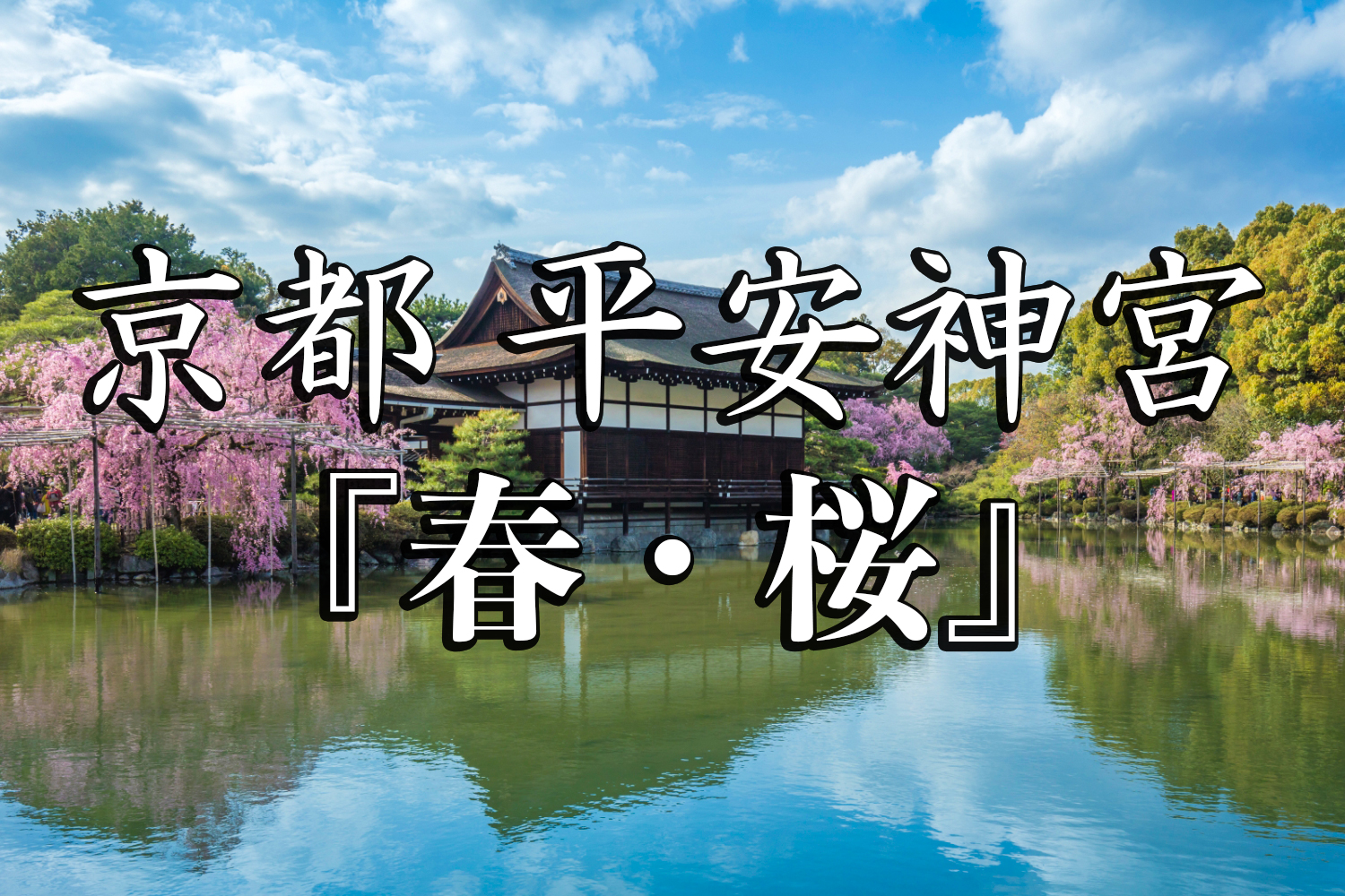 京都府 平安神宮 水面に映る桜の景色が美しい春におすすめ桜写真スポット 撮影した写真の紹介 アクセス情報など 写真や映像で紹介する関西 近畿の絶景カメラ 観光スポット