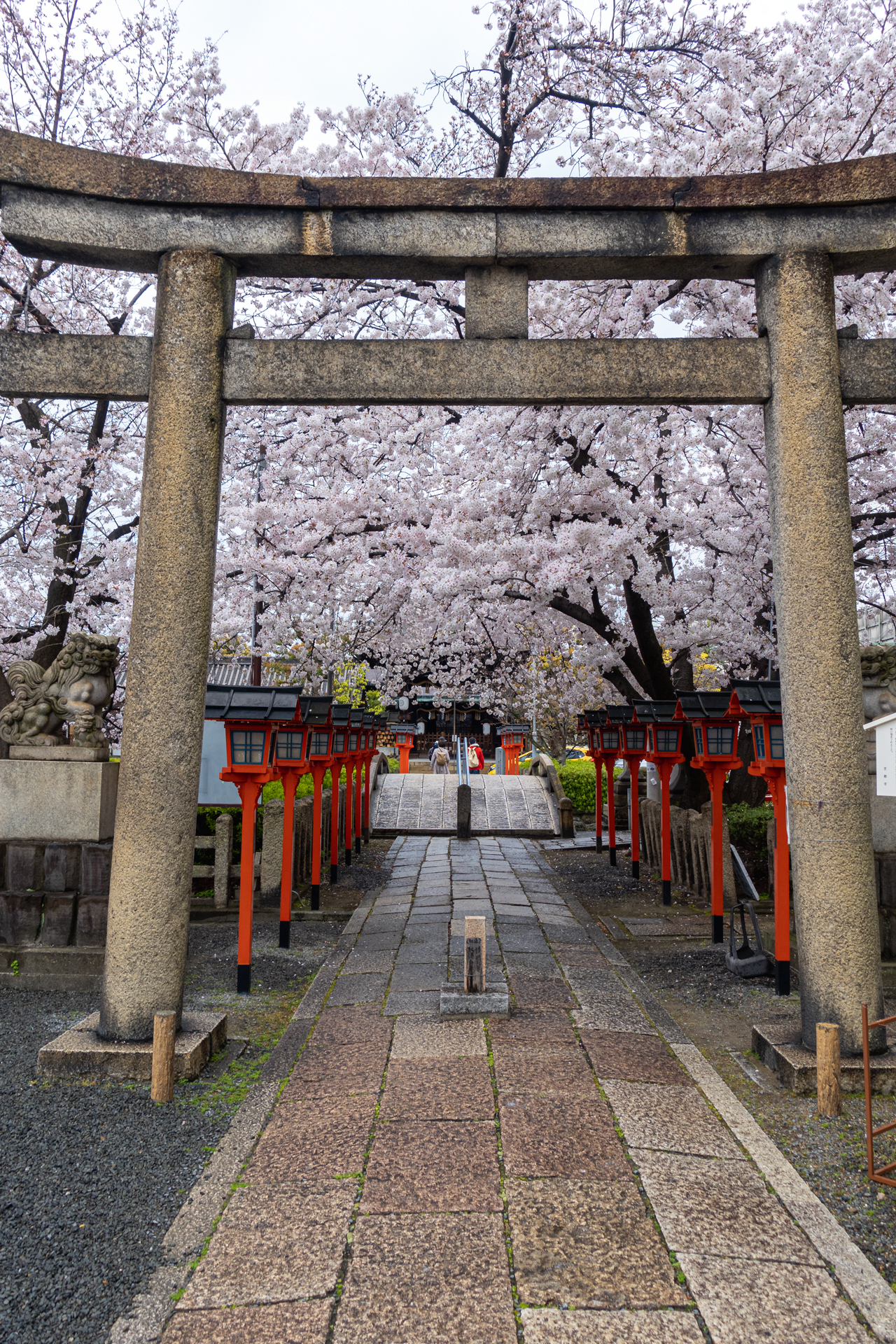 DSC05189 京都府 六孫王神社(桜と灯籠の景色が美しい春におすすめ写真スポット! 撮影した写真の紹介、アクセス情報など)