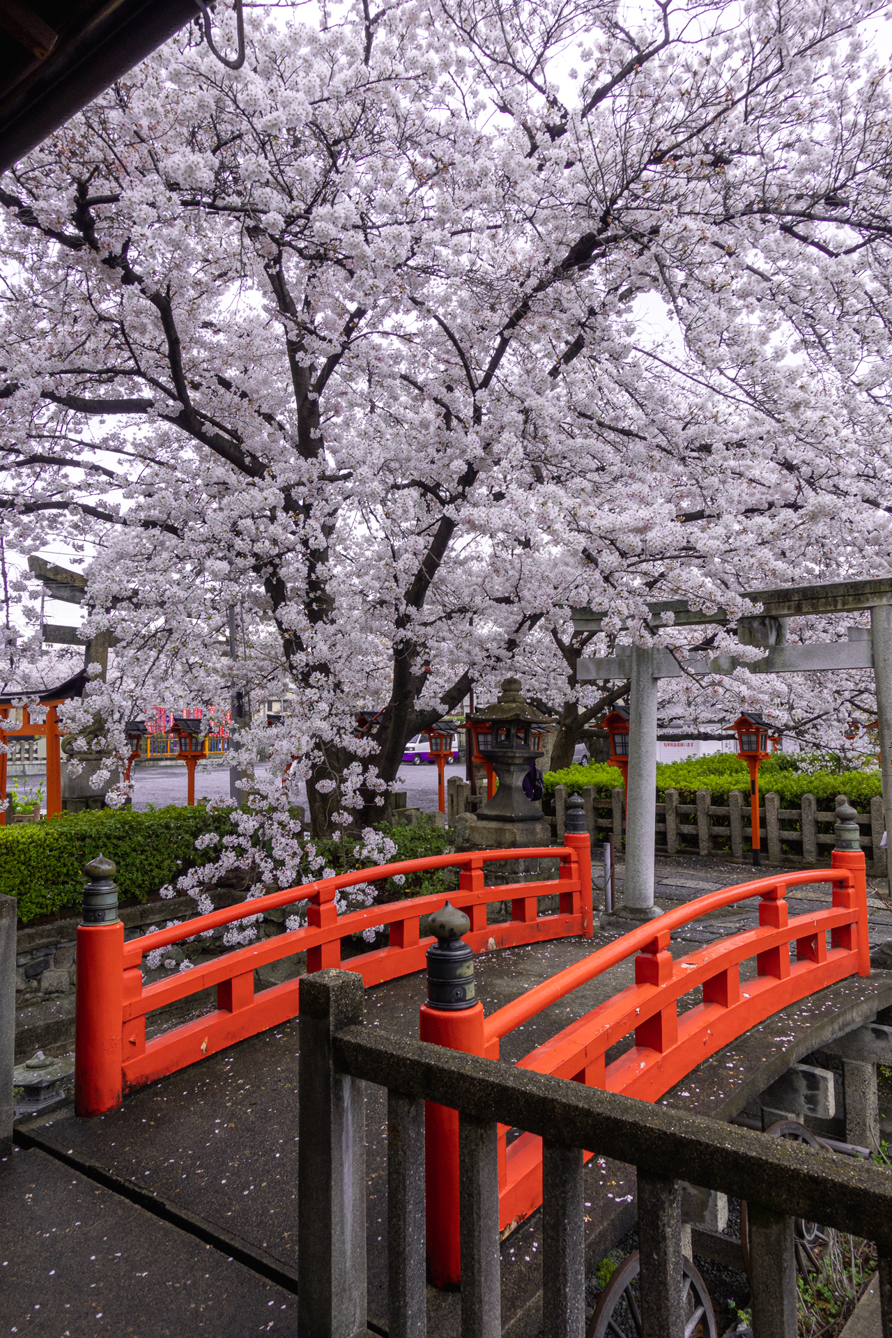 DSC05196 京都府 六孫王神社(桜と灯籠の景色が美しい春におすすめ写真スポット! 撮影した写真の紹介、アクセス情報など)