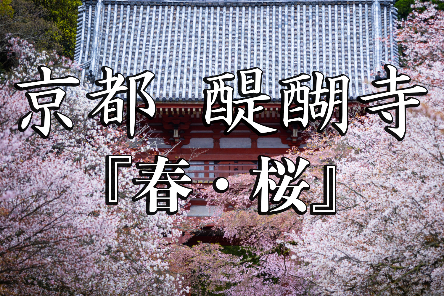 京都府 醍醐寺 花の醍醐と呼ばれる桜の景色が美しい春におすすめ写真スポット 撮影した写真の紹介 アクセス情報など 写真や映像で紹介する関西 近畿の絶景カメラ 観光スポット