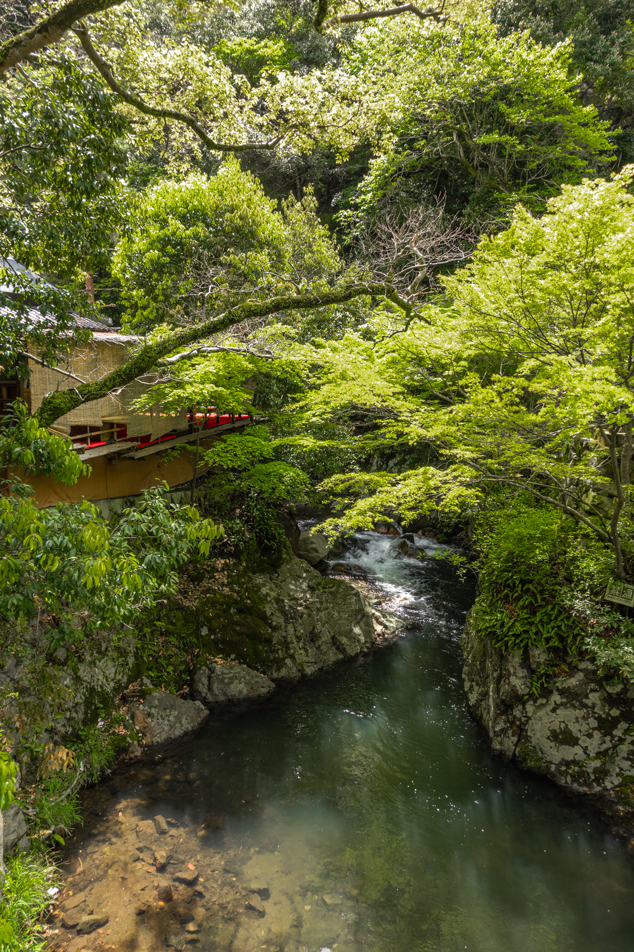 DSC05966 大阪府 箕面大滝(日本の滝百選に選定された新緑に染まる絶景の滝スポット! 写真の紹介、アクセス情報など)