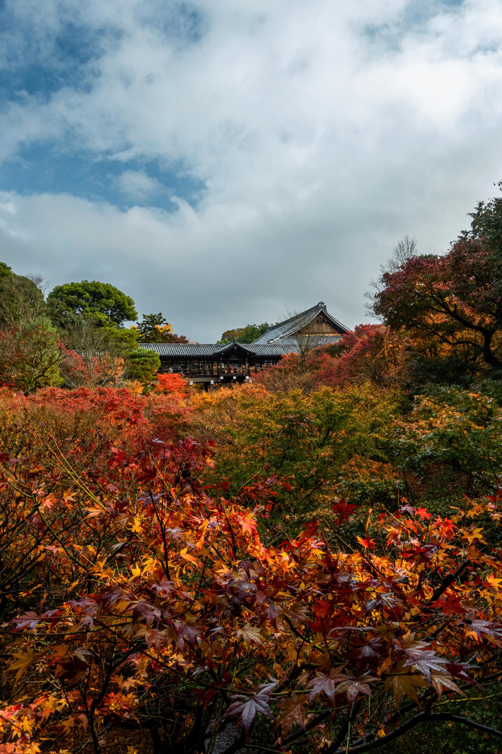 DSC01080-scaled 京都  東福寺(通天橋から眺める紅葉景色が人気のスポット!撮影した写真の紹介、アクセス情報など)