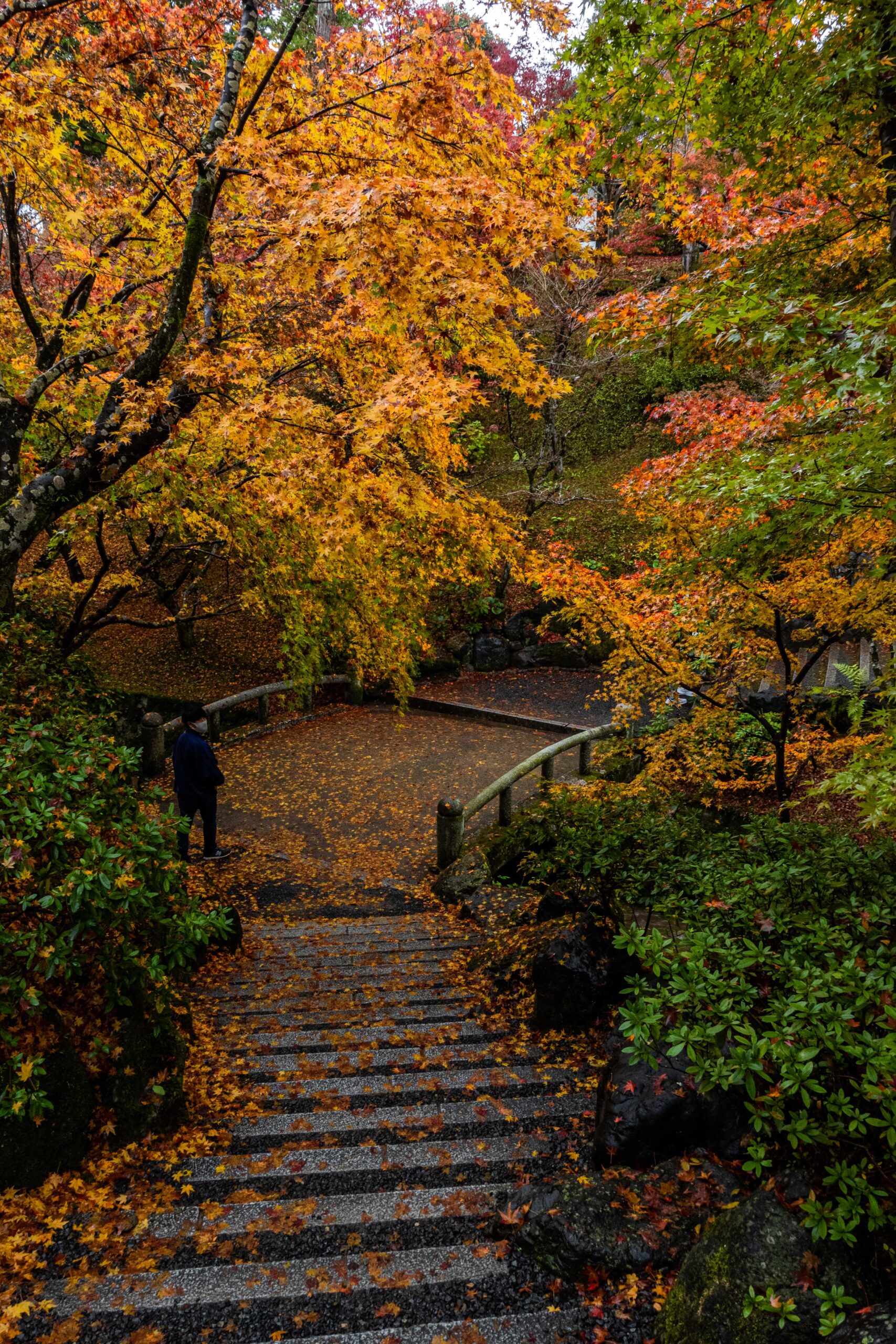 DSC01155-scaled 京都  東福寺(通天橋から眺める紅葉景色が人気のスポット!撮影した写真の紹介、アクセス情報など)