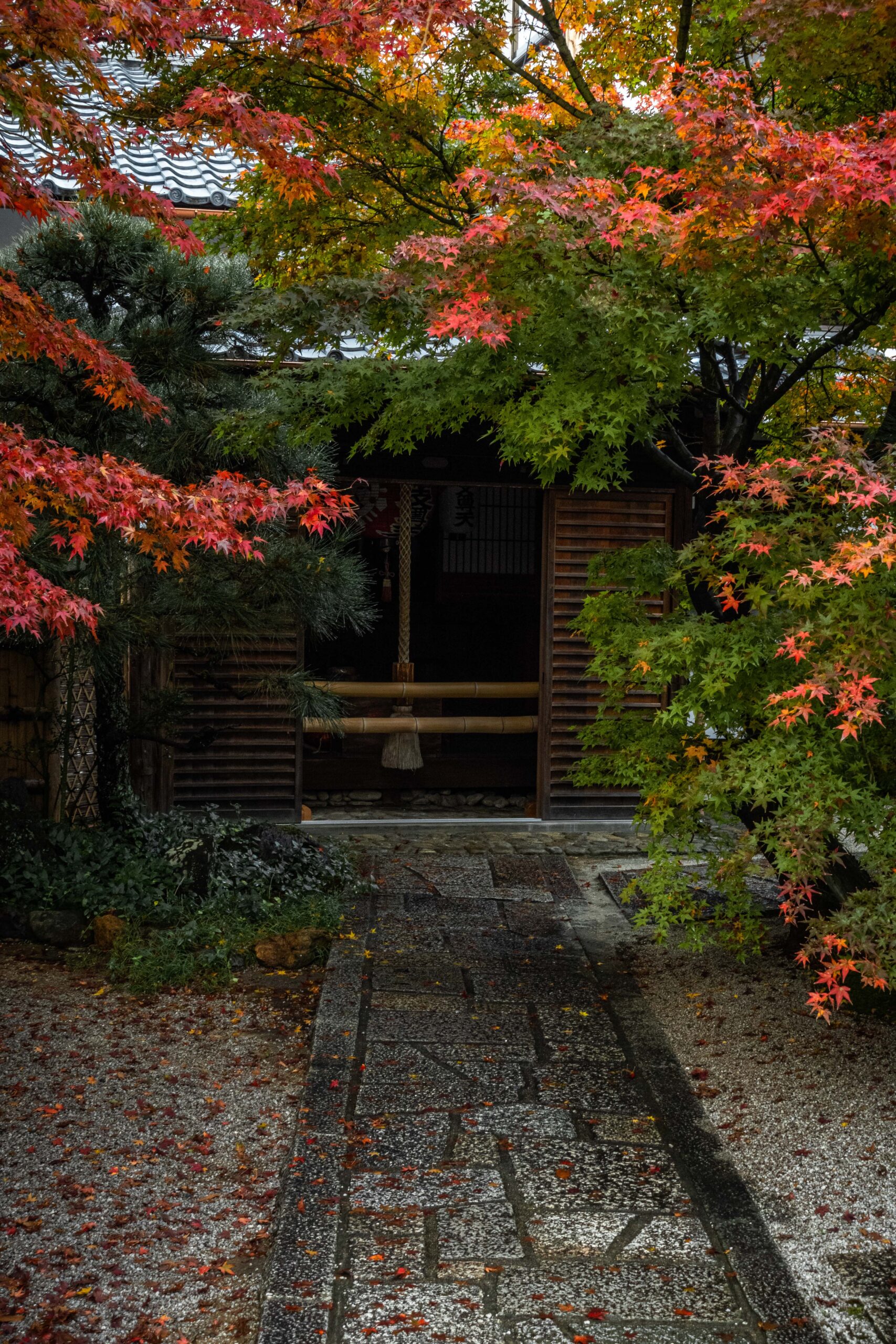 DSC01260-scaled 京都  光明院(風情感じる庭園と紅葉景色が美しいスポット.撮影した写真の紹介、アクセス情報など)