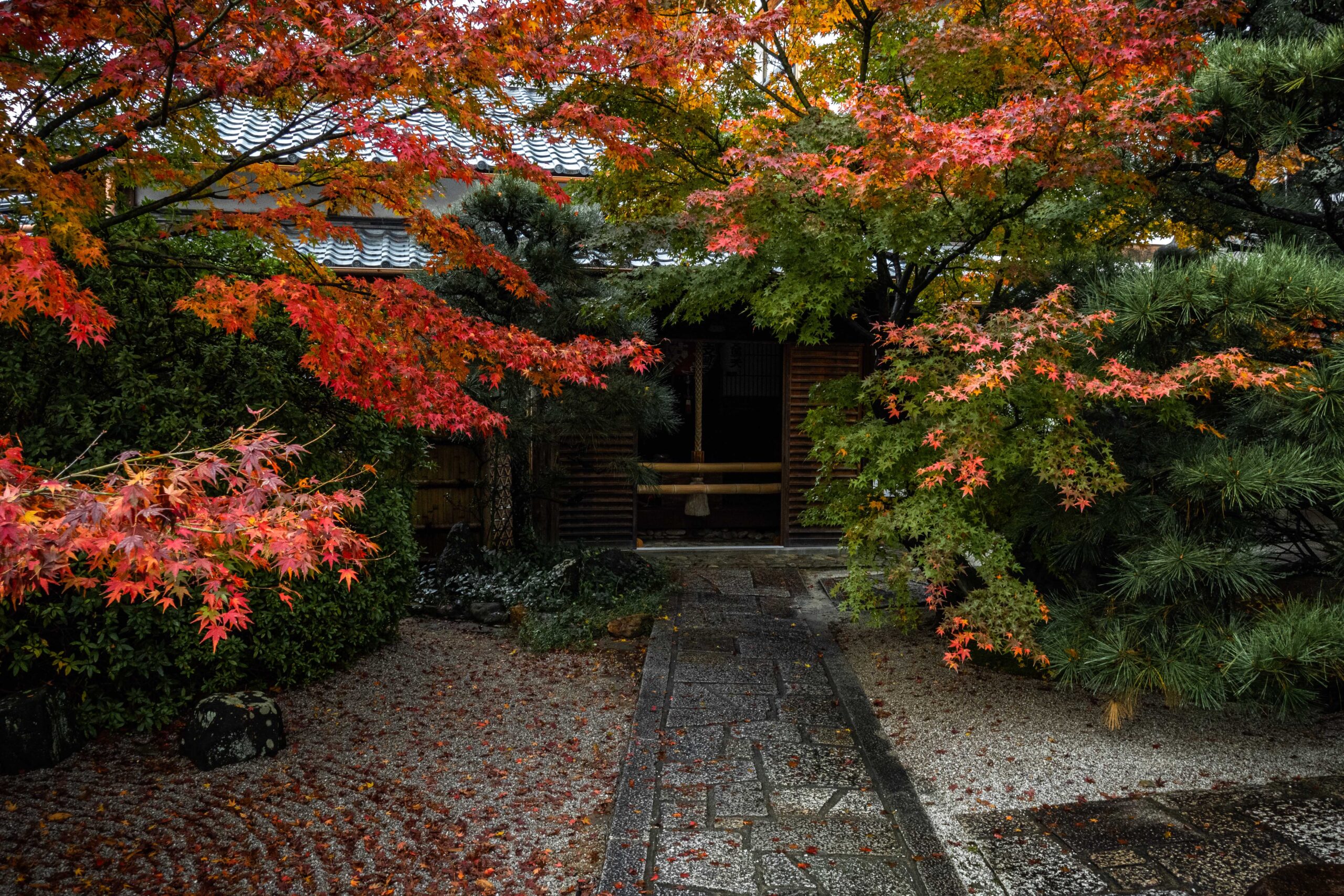 DSC01263-scaled 京都  光明院(風情感じる庭園と紅葉景色が美しいスポット.撮影した写真の紹介、アクセス情報など)