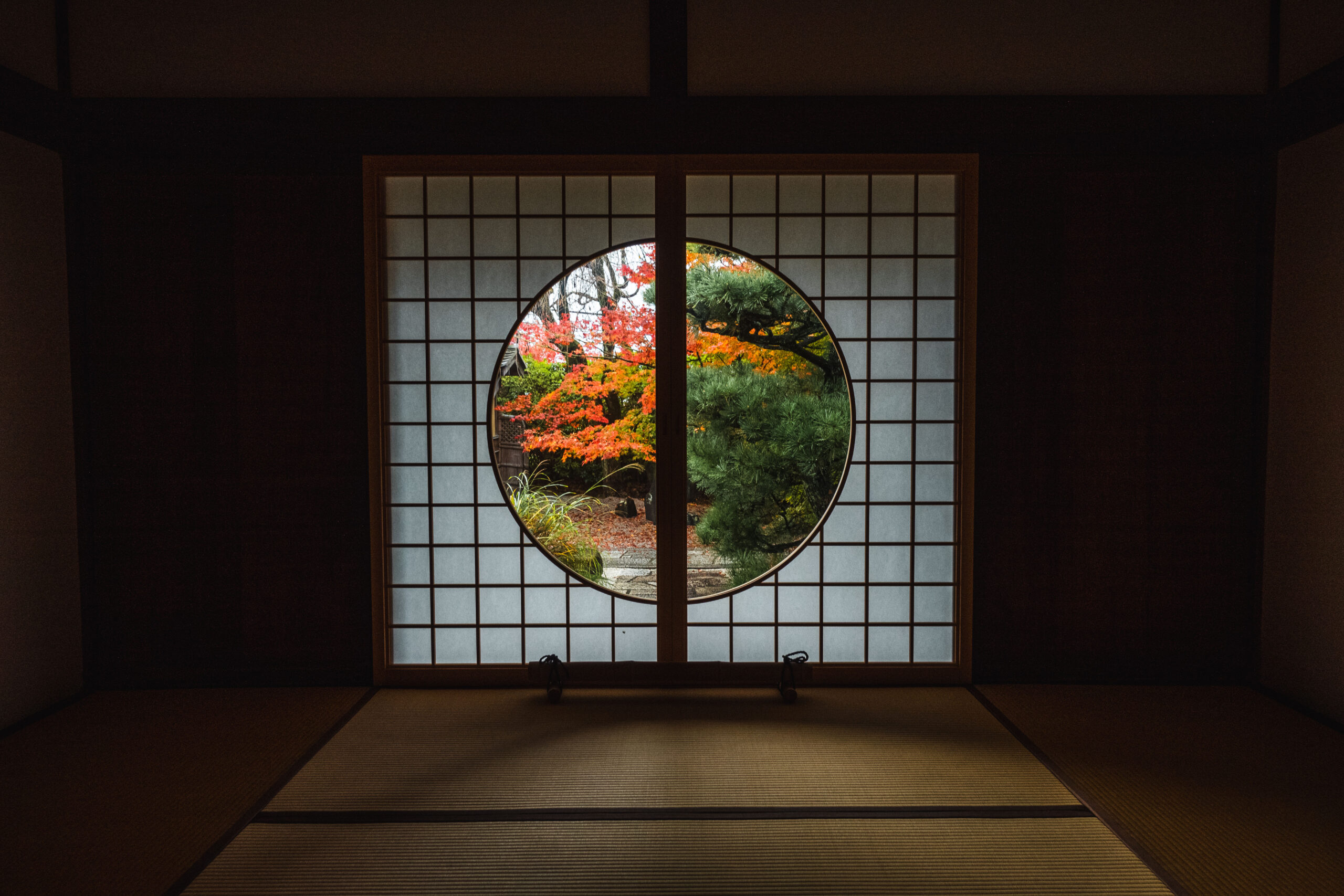 DSC01297-scaled 京都  光明院(風情感じる庭園と紅葉景色が美しいスポット.撮影した写真の紹介、アクセス情報など)