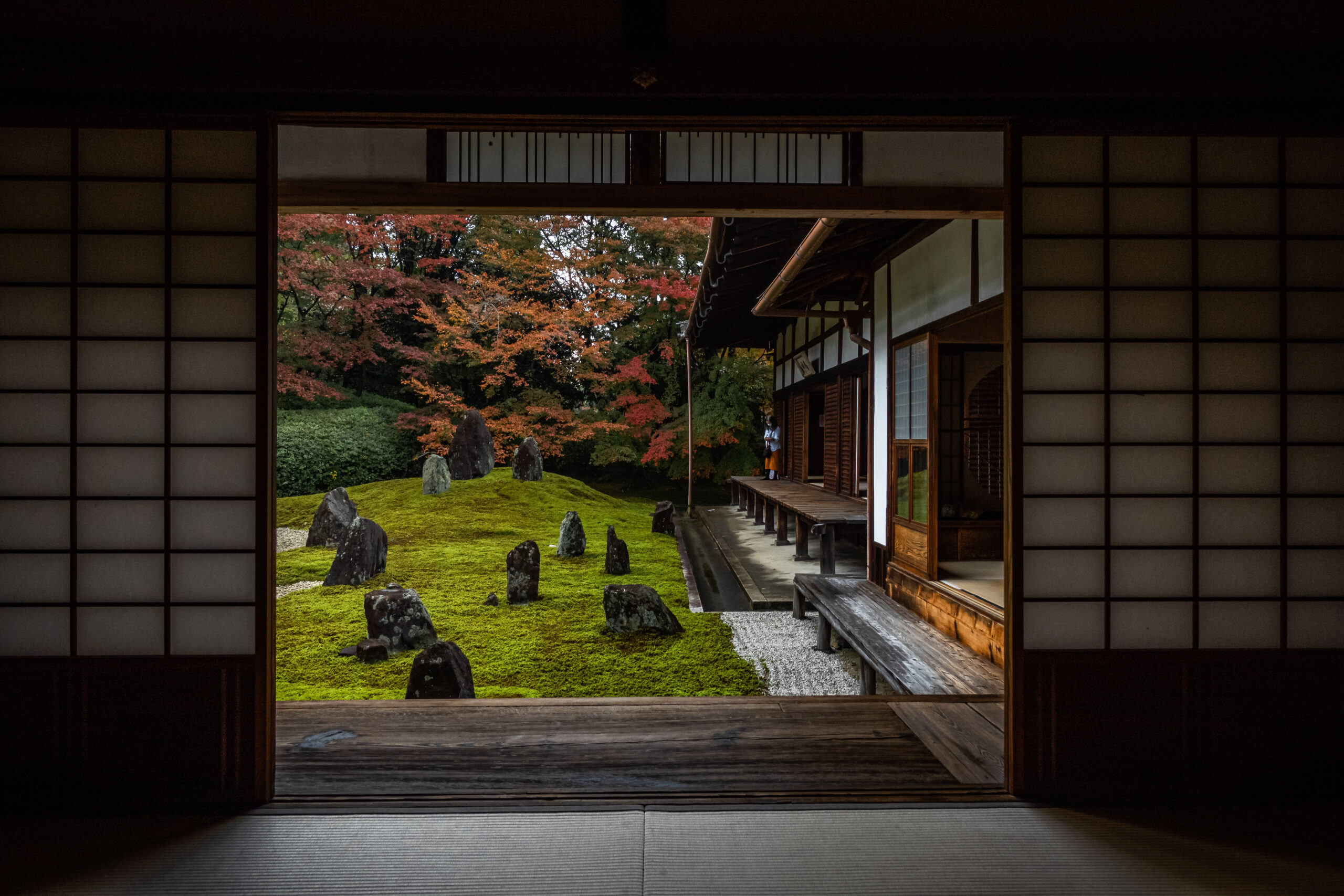 DSC01354-scaled 京都  光明院(風情感じる庭園と紅葉景色が美しいスポット.撮影した写真の紹介、アクセス情報など)