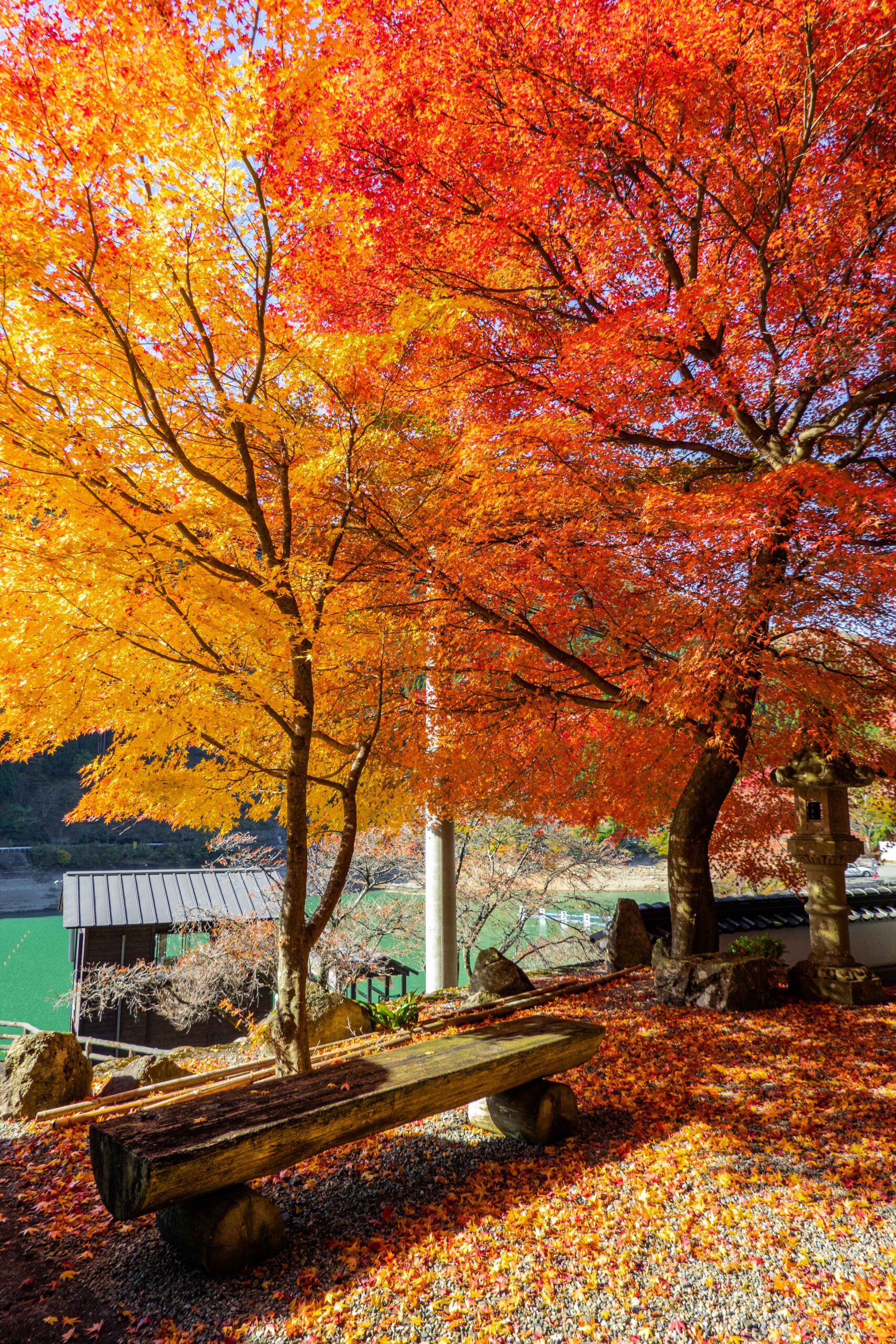 DSC07892-scaled 兵庫県  長源寺(音水湖のほとりに佇む紅葉の美しい寺! 撮影した写真の紹介、 アクセス情報など)　