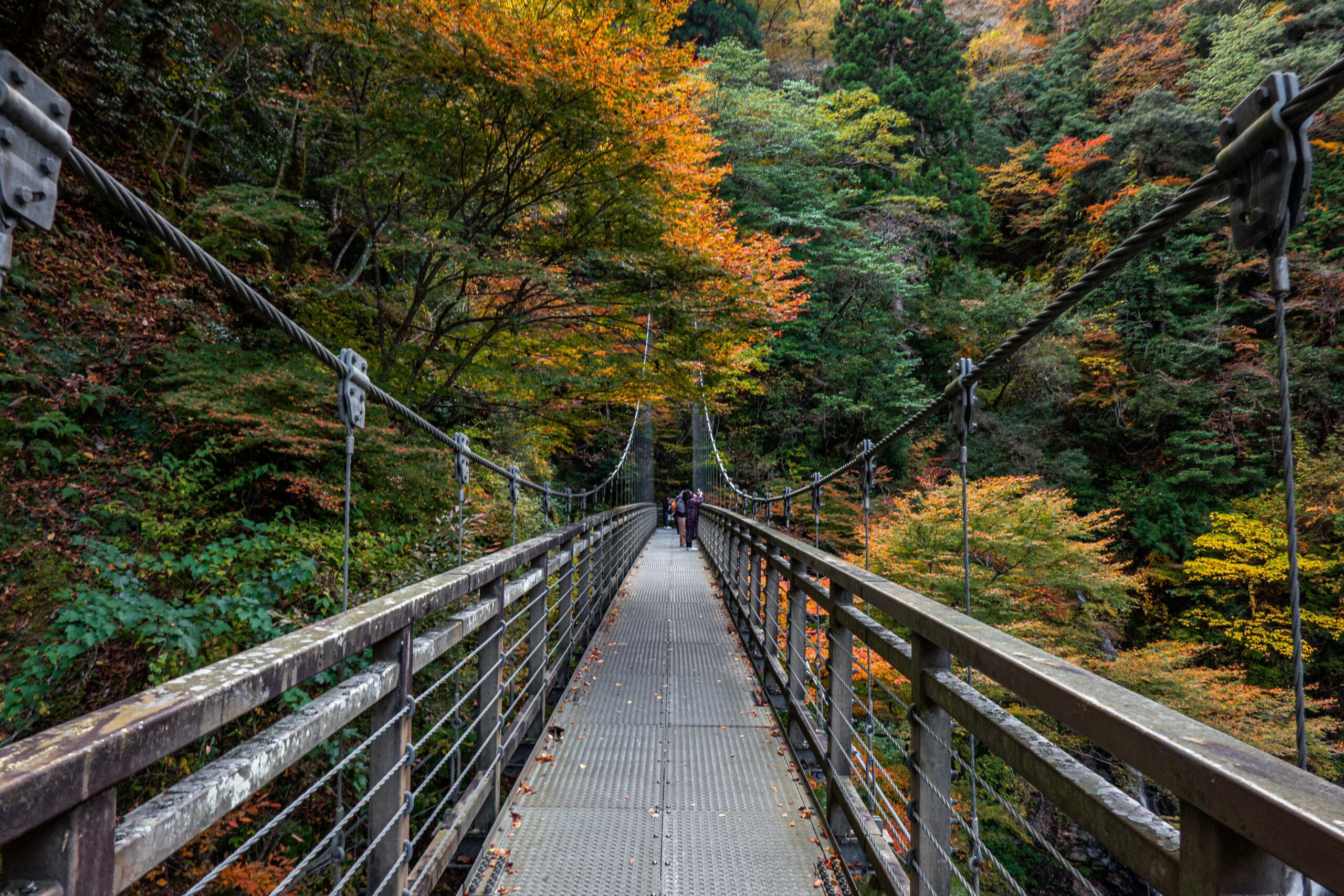 DSC08010-scaled 兵庫県  原不動滝(日本の滝100選に選定された紅葉景色の美しい絶景の滝 ! 撮影した写真の紹介、 アクセス情報など)　