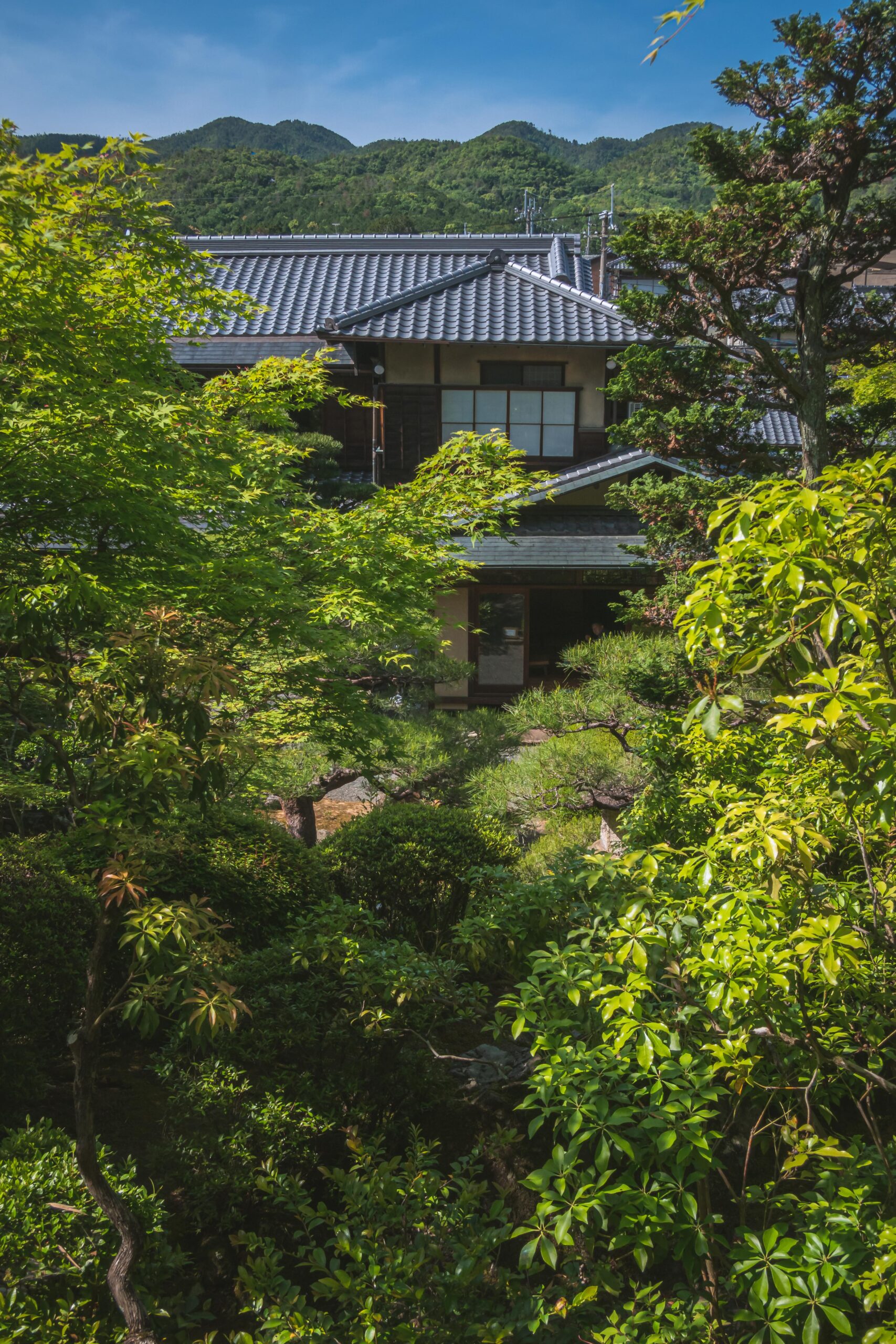 DSC00308-scaled 京都府 旧邸御室(期間限定の特別公開。初夏のリフレクションが美しいおすすめスポット!写真の紹介、アクセス情報など)